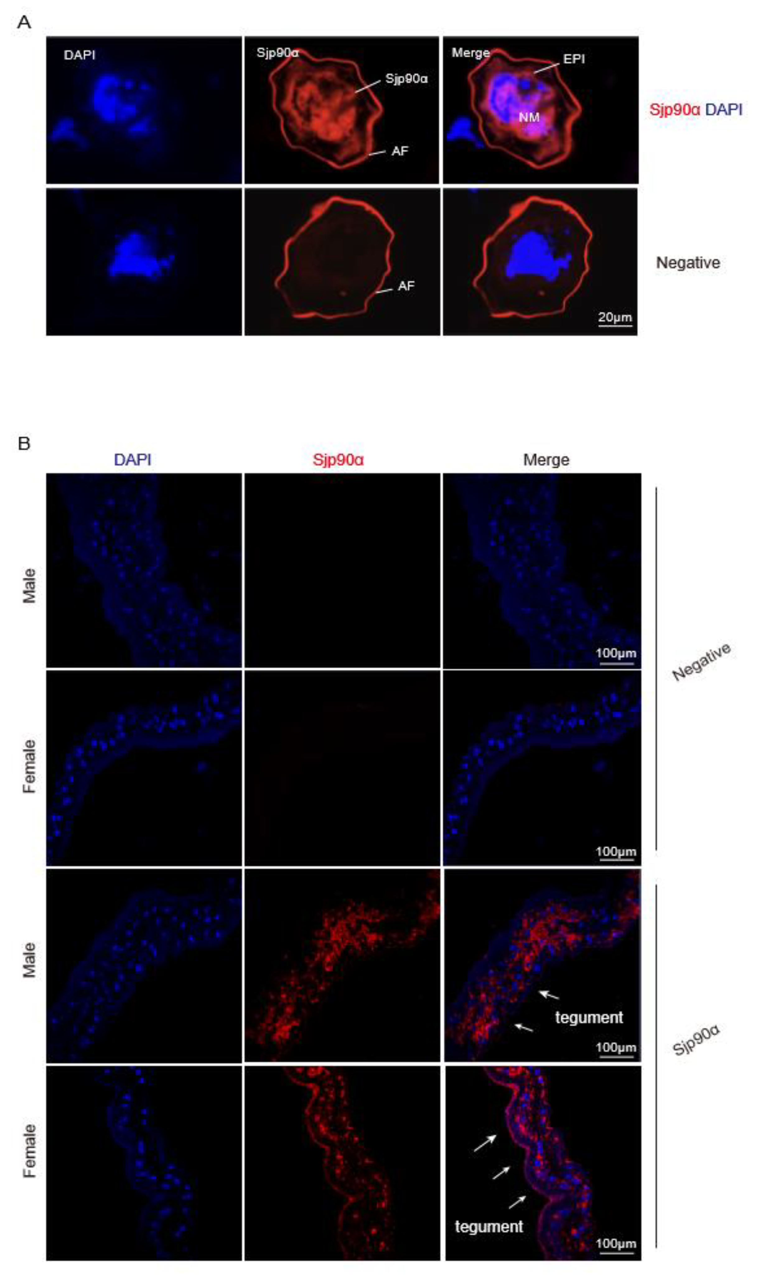 Pathogens 11 01238 g005