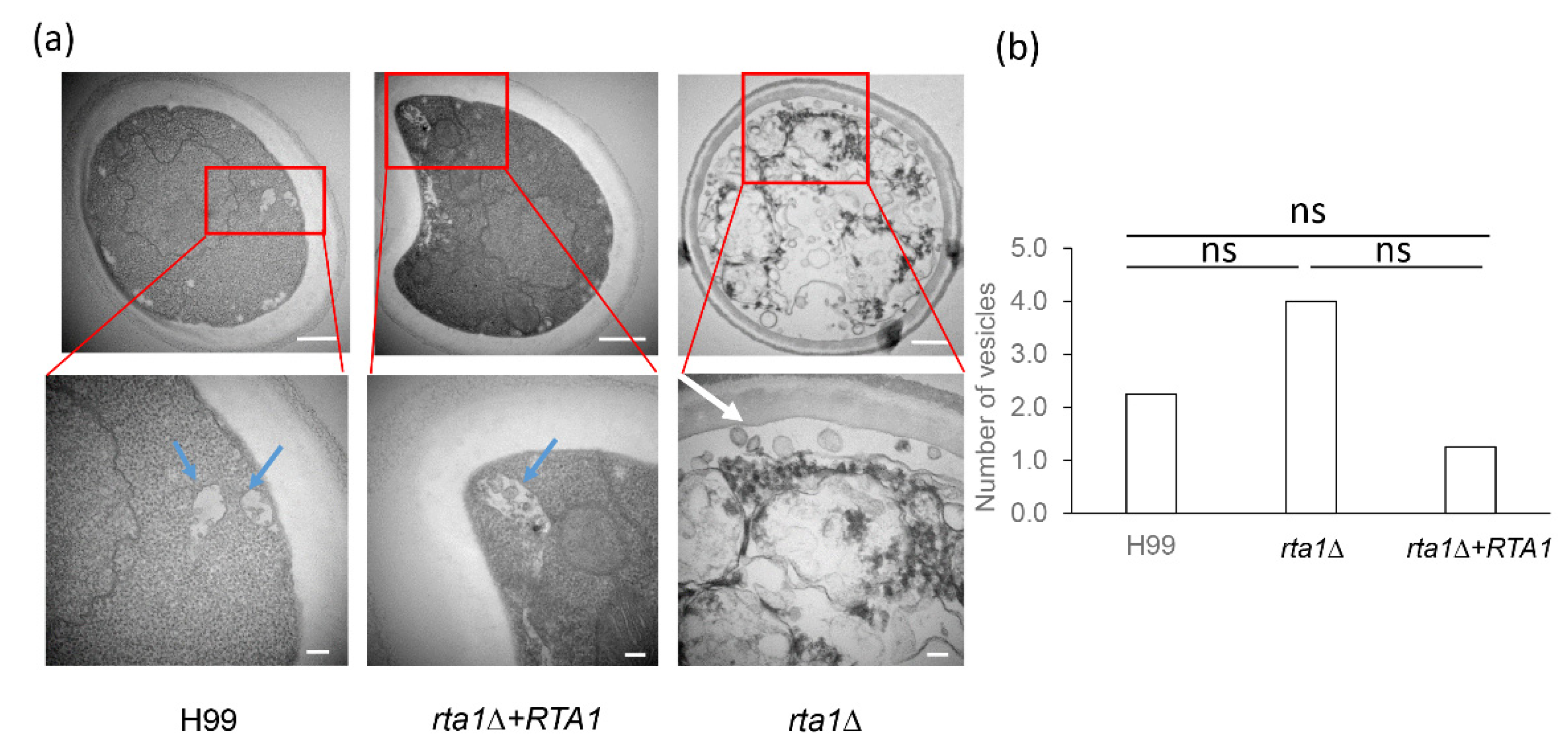 Pathogens 11 01239 g007