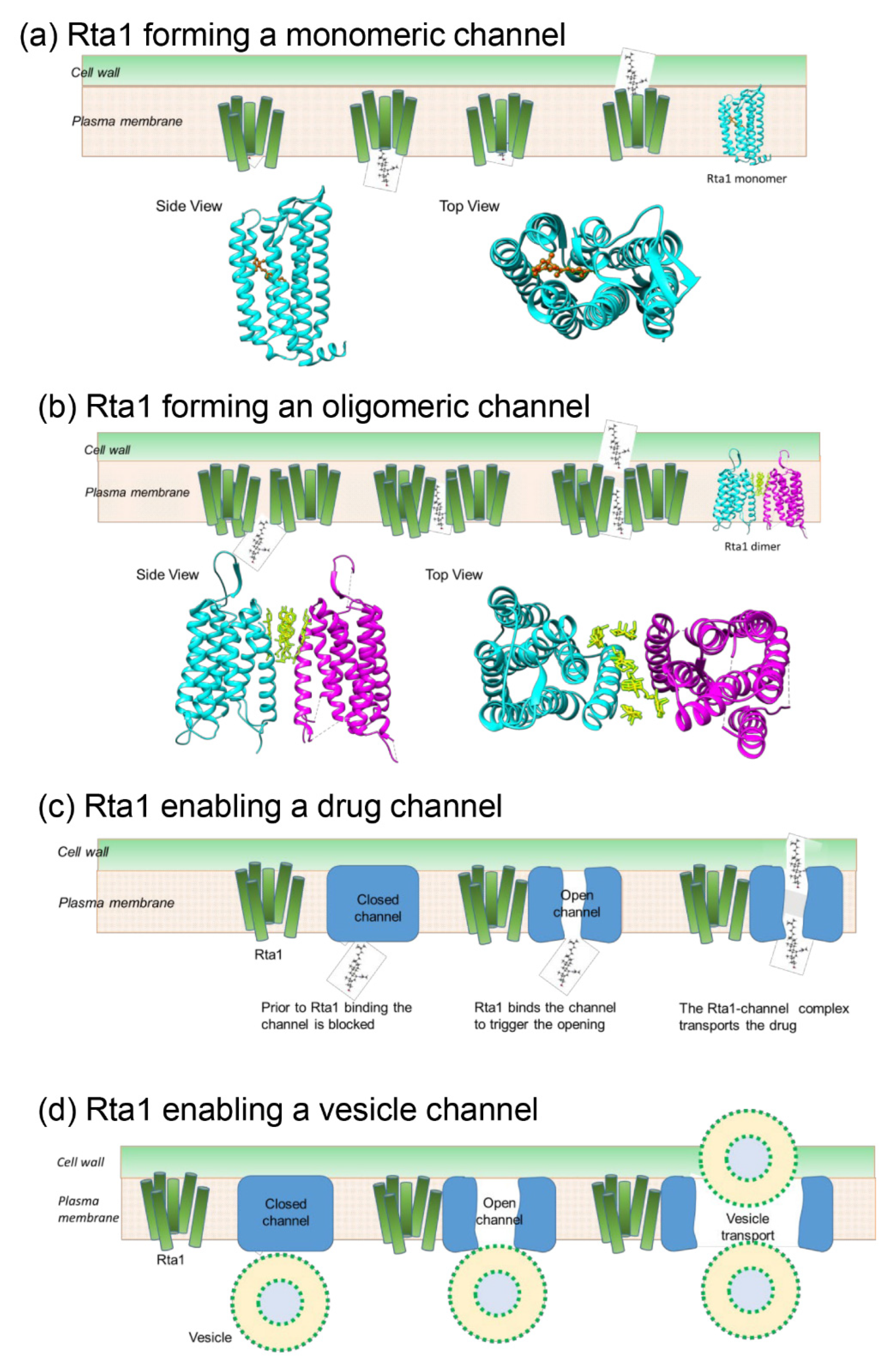 Pathogens 11 01239 g008