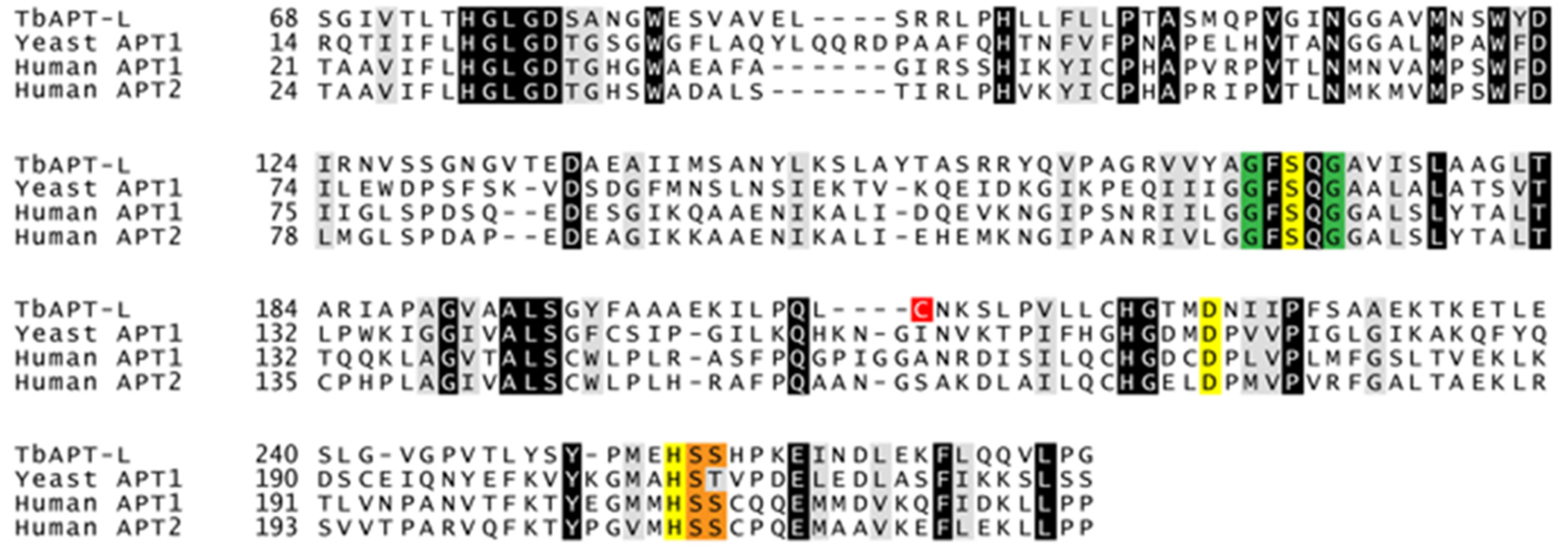 Pathogens 11 01245 g002 Pathogens 11 01245 g002