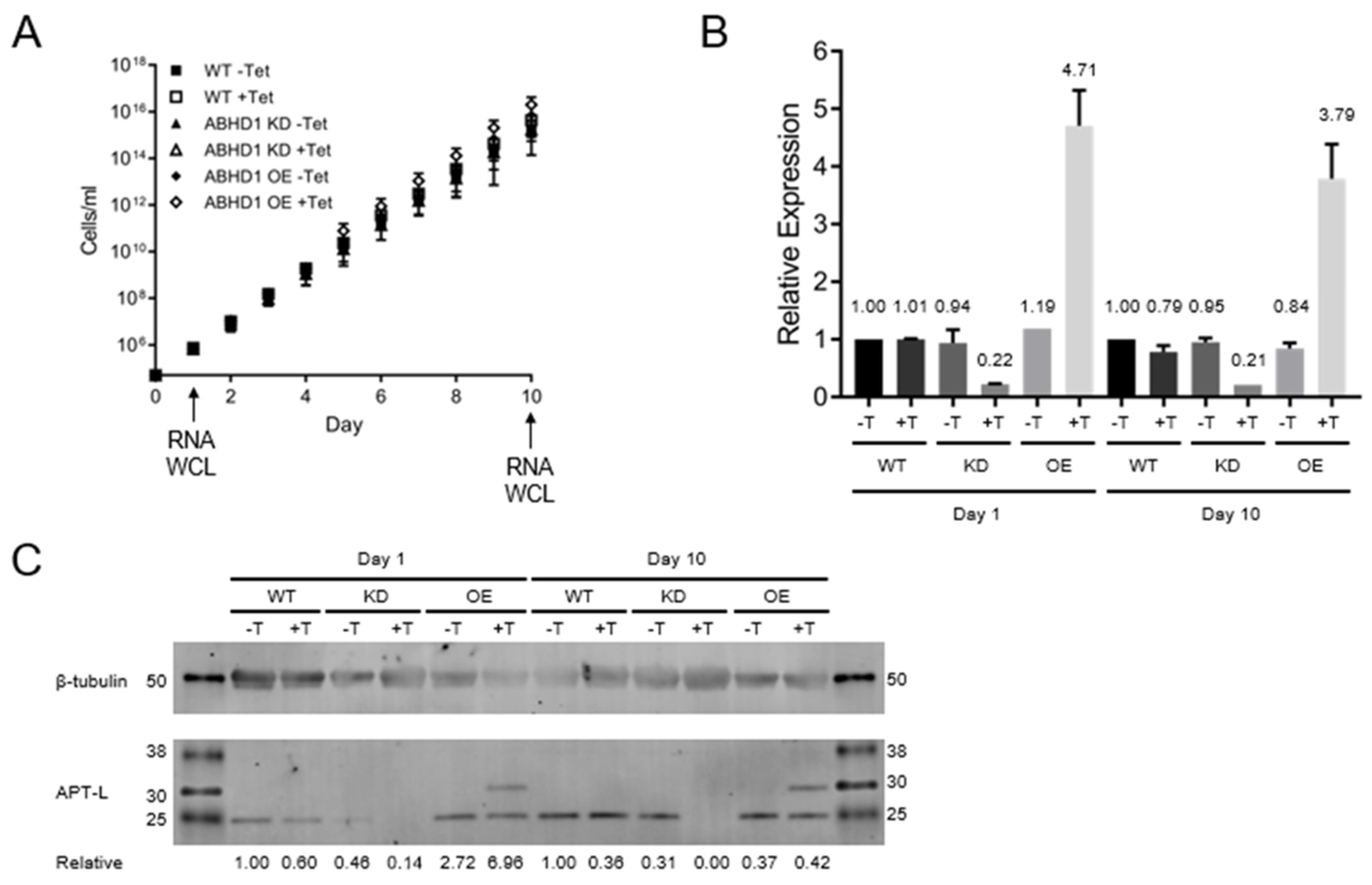 Pathogens 11 01245 g004 Pathogens 11 01245 g004