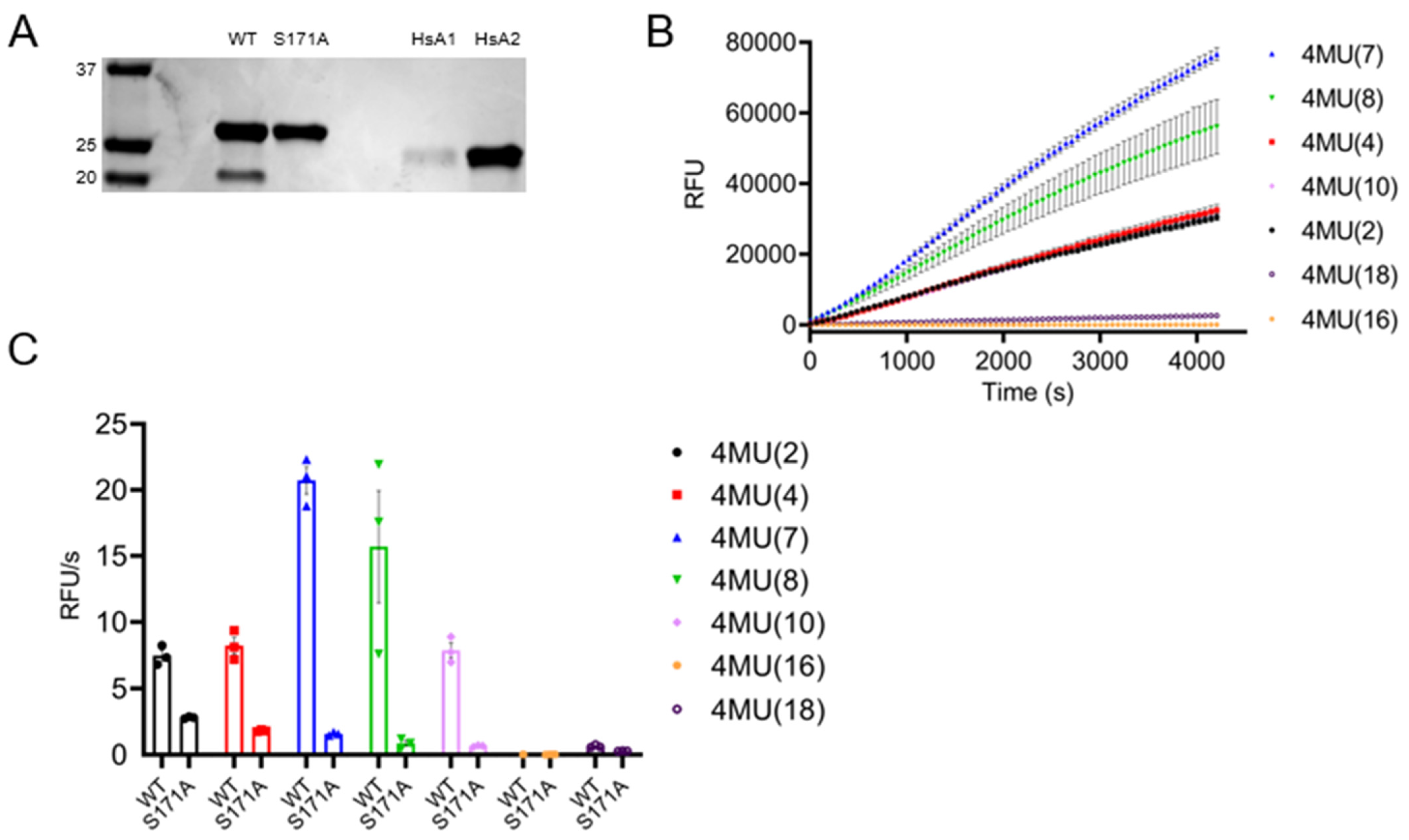 Pathogens 11 01245 g007 Pathogens 11 01245 g007