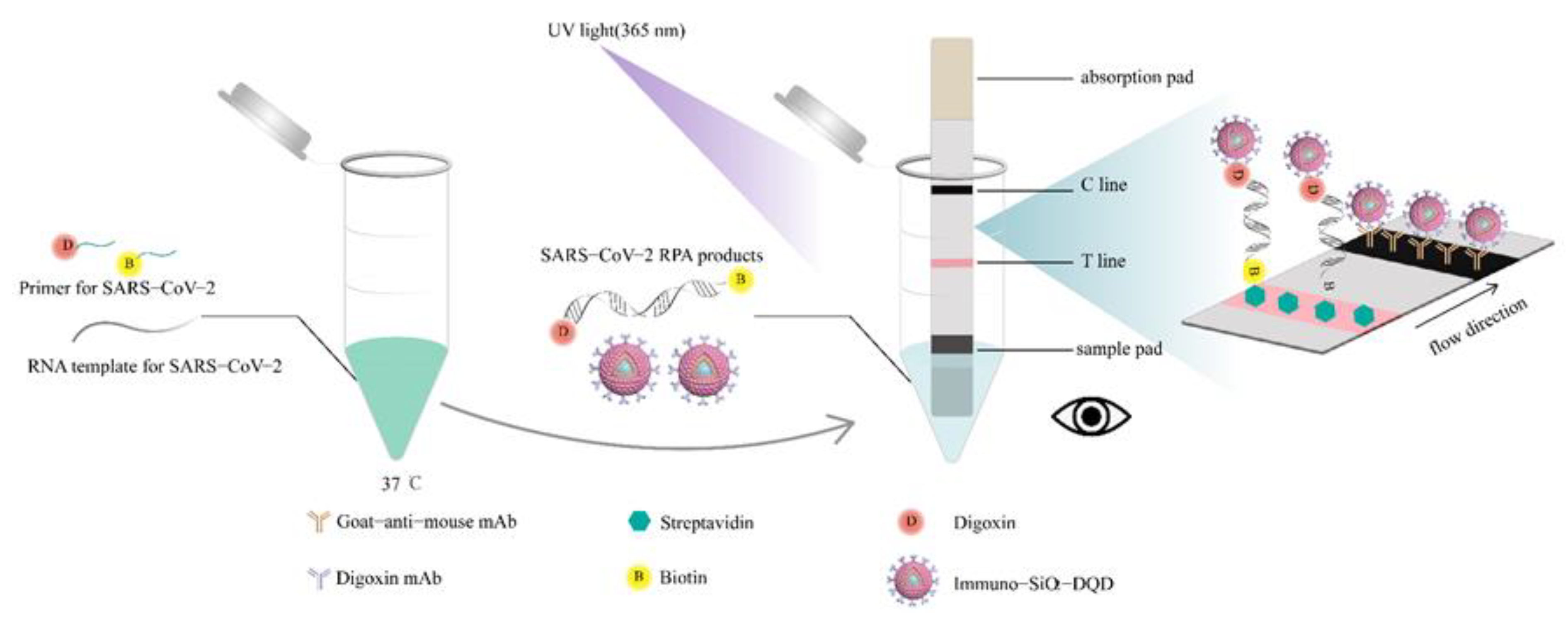 Pathogens 11 01252 sch001