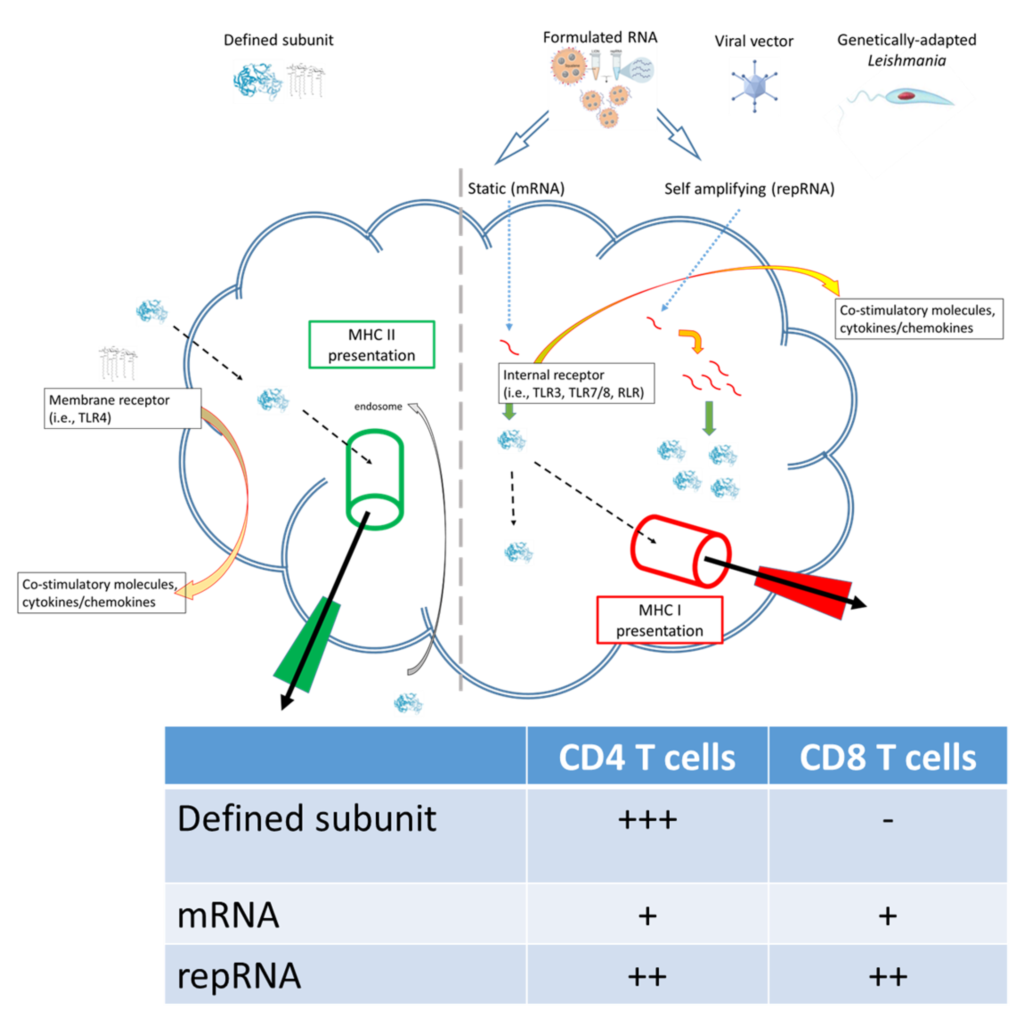 Pathogens 11 01259 g001