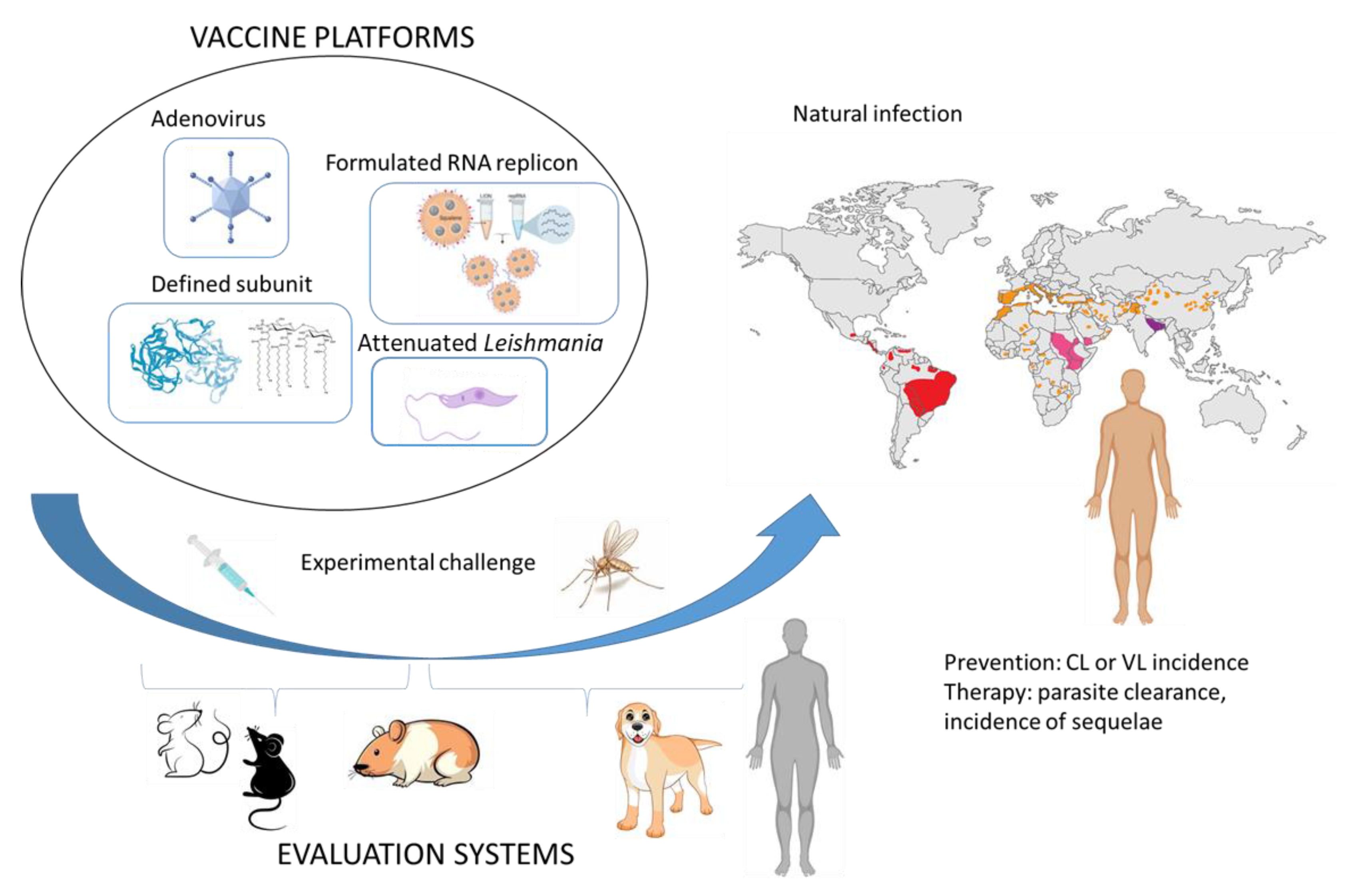 Pathogens 11 01259 g002