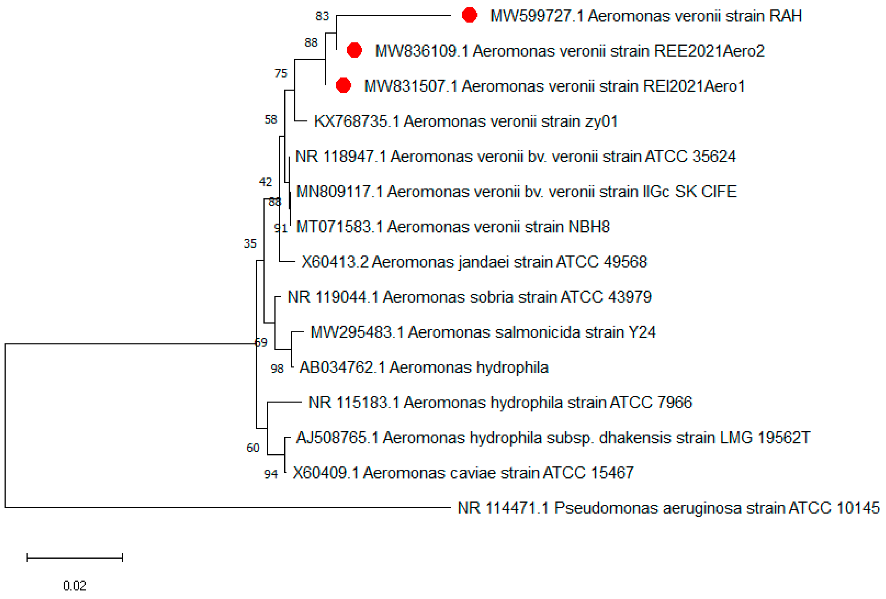 Pathogens 11 01262 g003 Pathogens 11 01262 g003