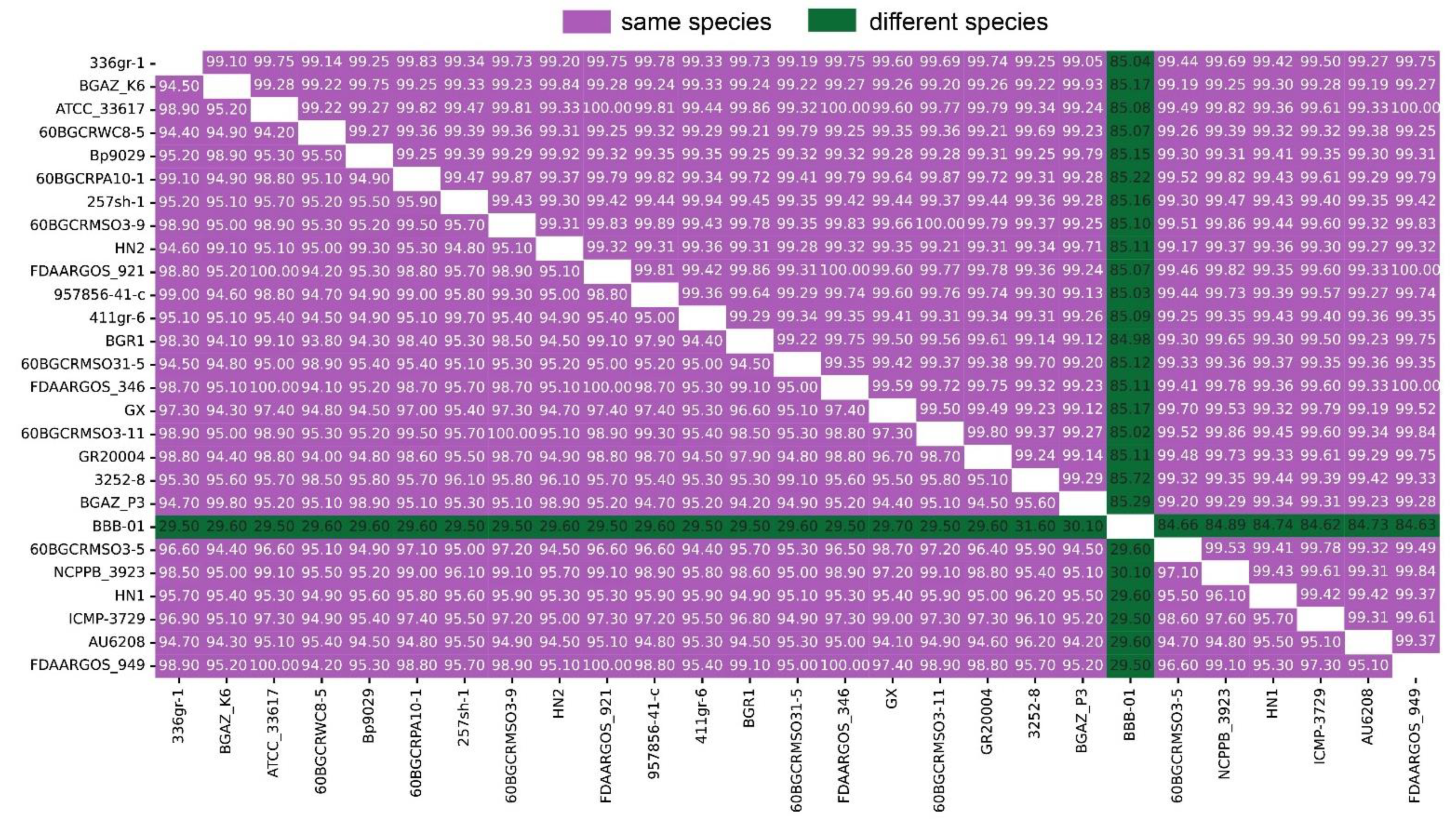 Pathogens 11 01265 g002