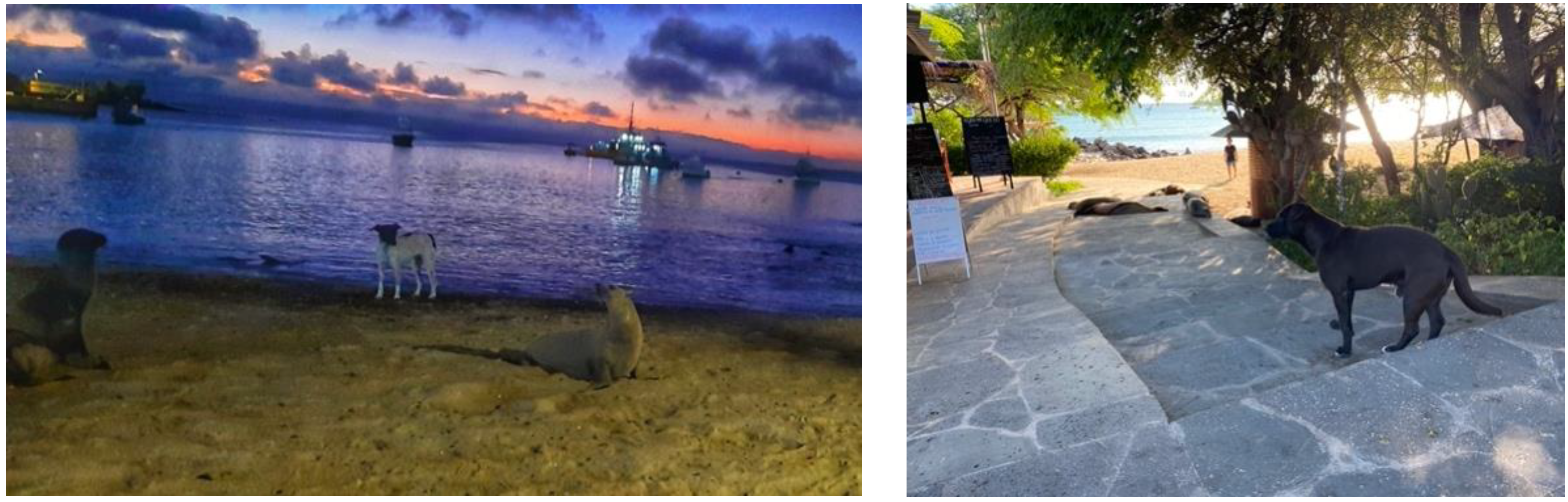 Pathogens 11 01287 g001