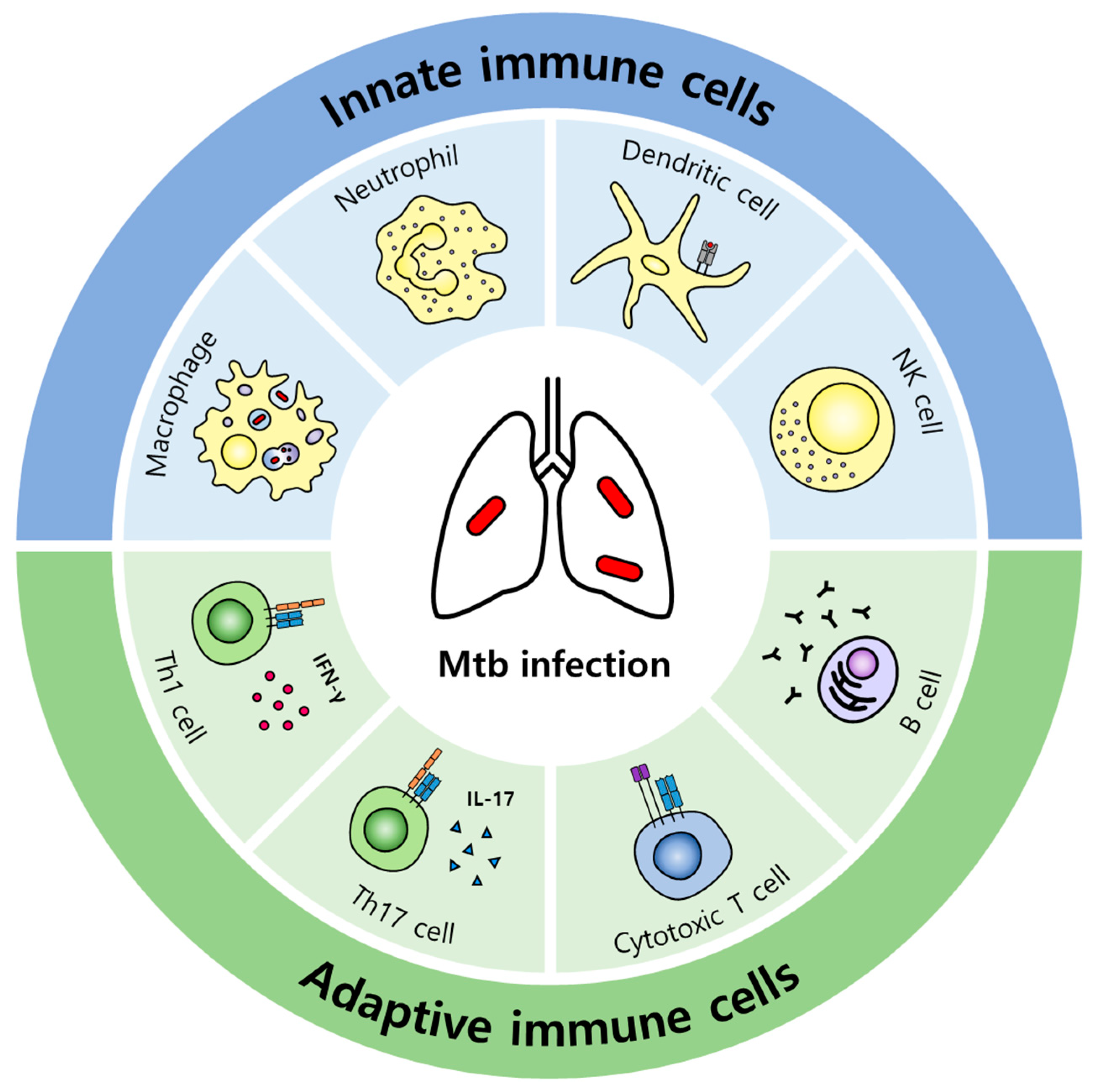 Pathogens Free Full Text Host Directed Therapies For Tuberculosis pathogens-free-full-text-host-directed-therapies-for-tuberculosis