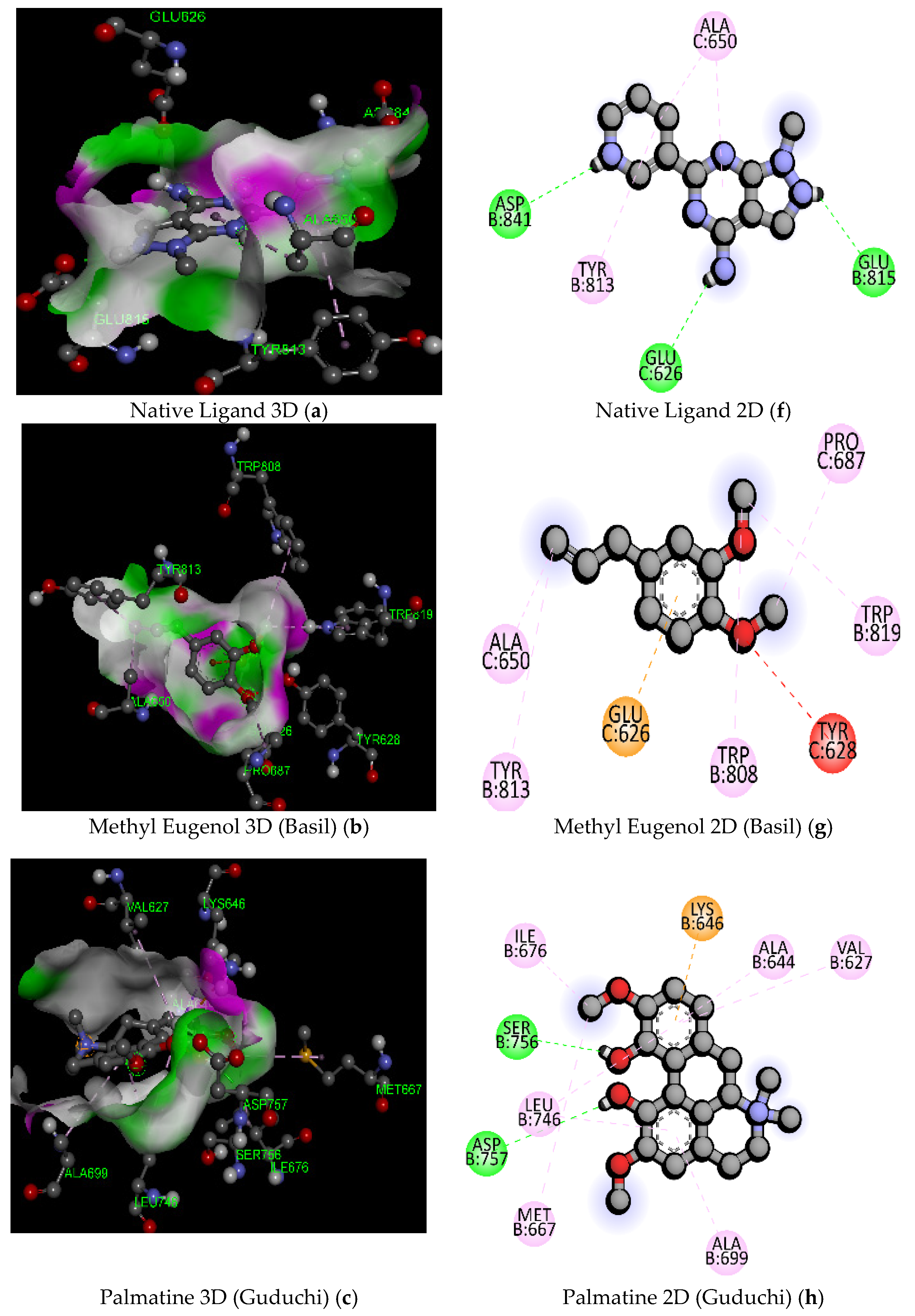 Pathogens 11 01296 g003a Pathogens 11 01296 g003a