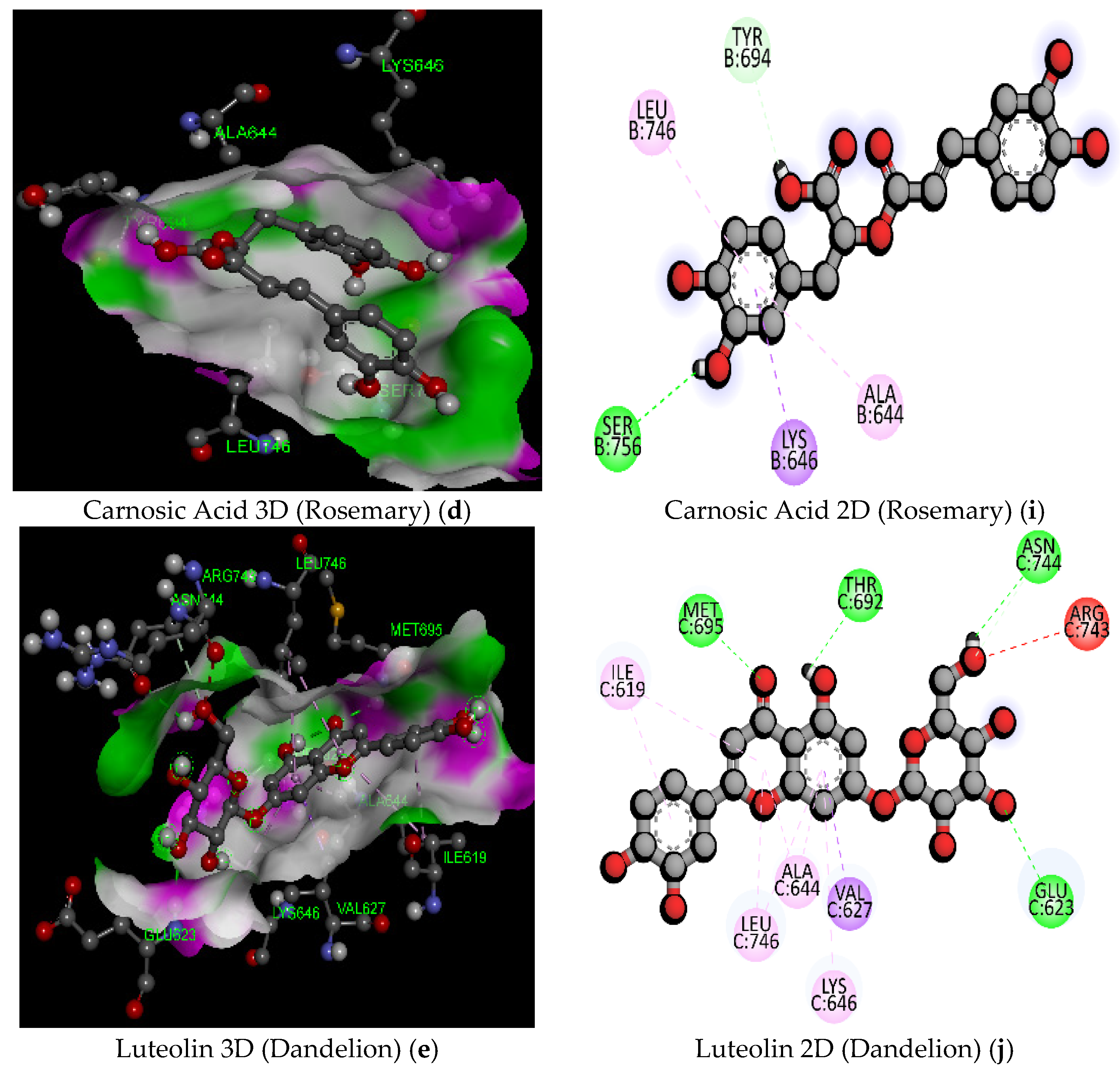 Pathogens 11 01296 g003b Pathogens 11 01296 g003b