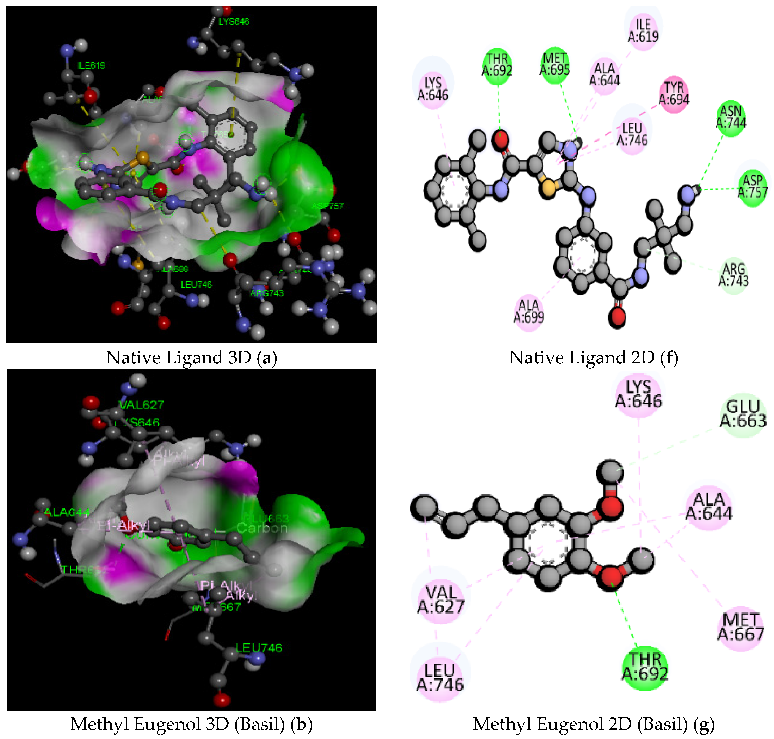 Pathogens 11 01296 g004a Pathogens 11 01296 g004a