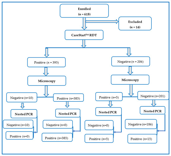 Pathogens Free FullText Performance Evaluation of Nested Pathogens Free FullText Performance Evaluation of Nested