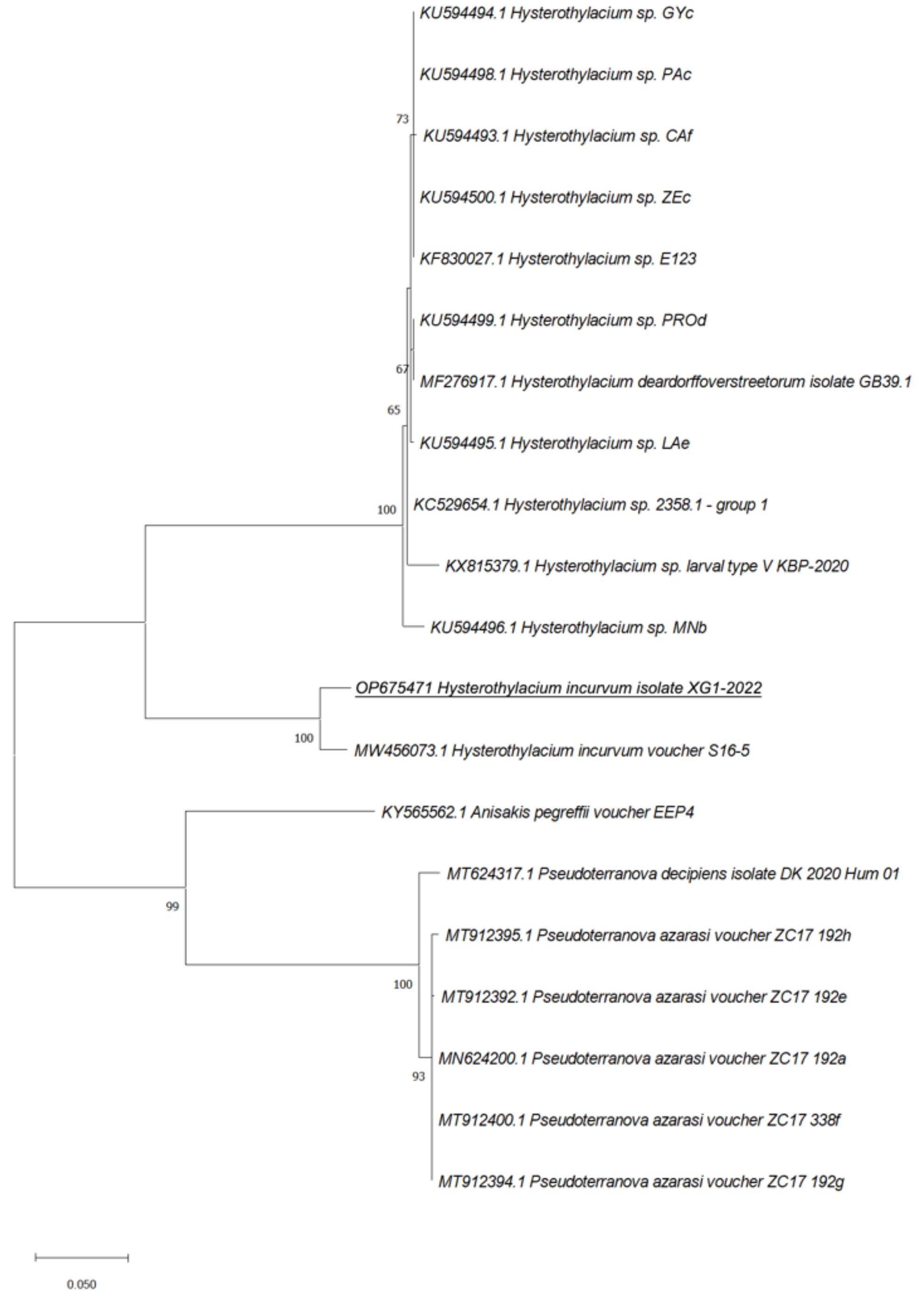 Pathogens 11 01315 g002 Pathogens 11 01315 g002