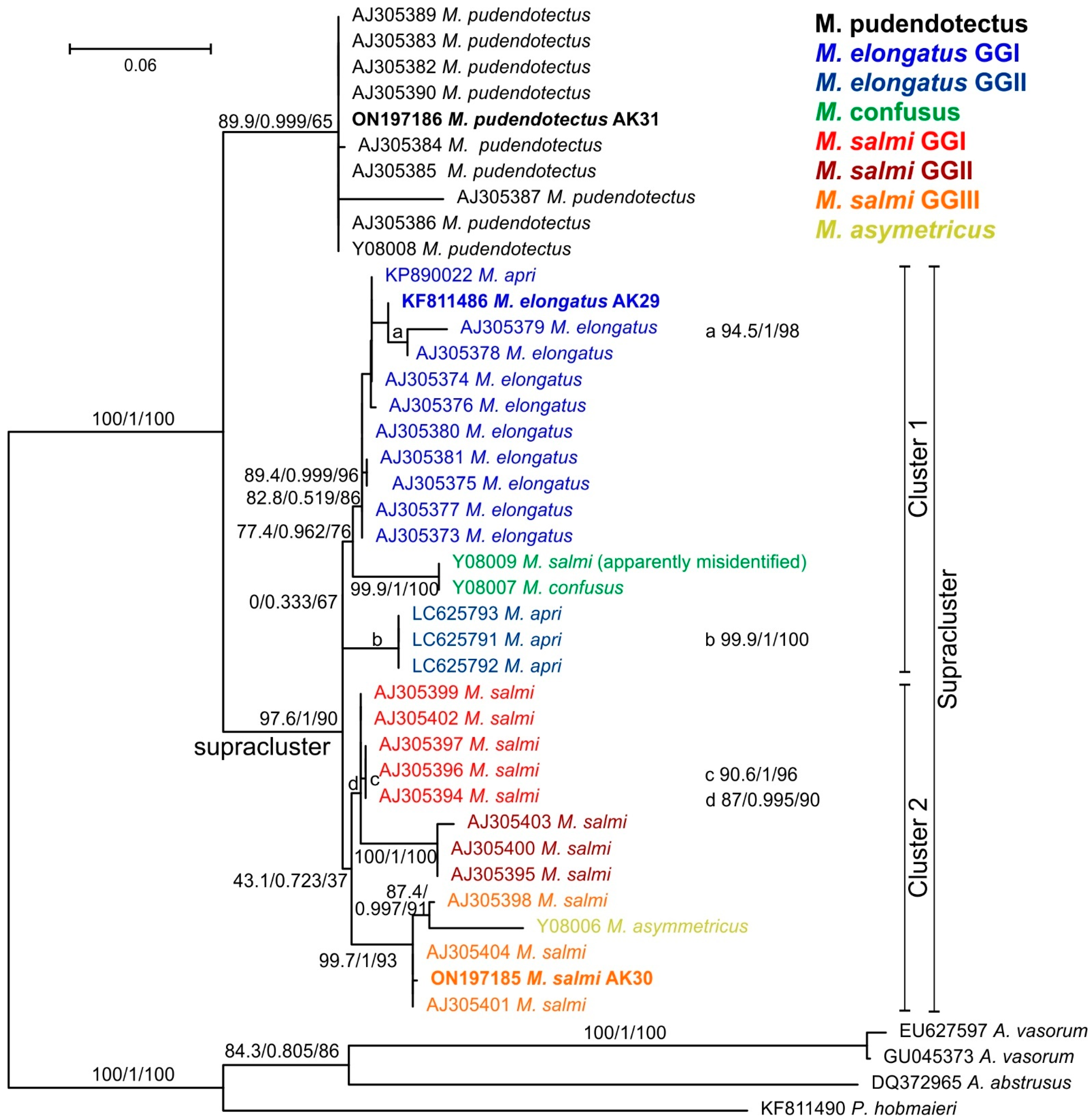 Pathogens 11 01316 g002