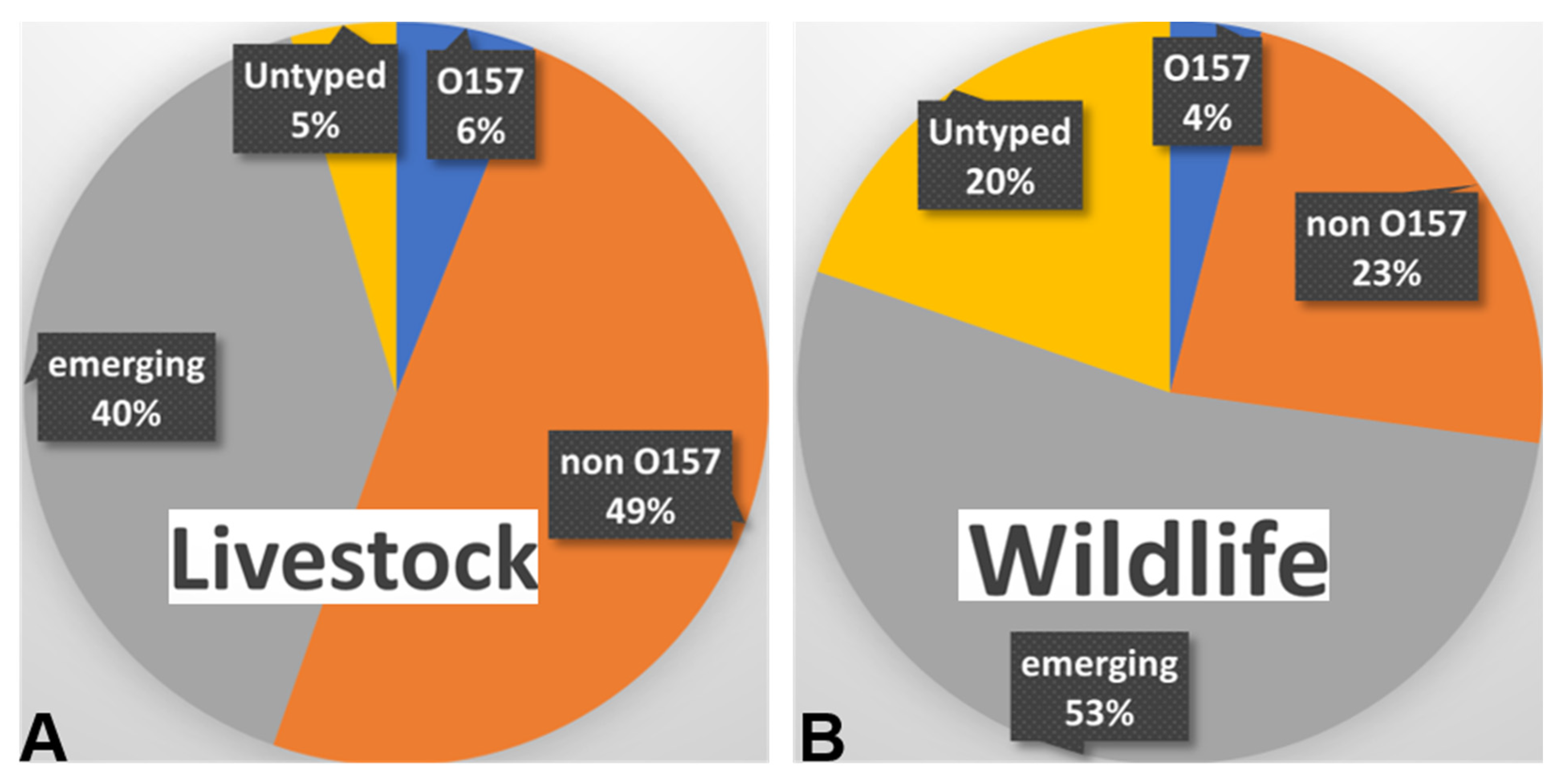 Pathogens 11 01332 g003 Pathogens 11 01332 g003
