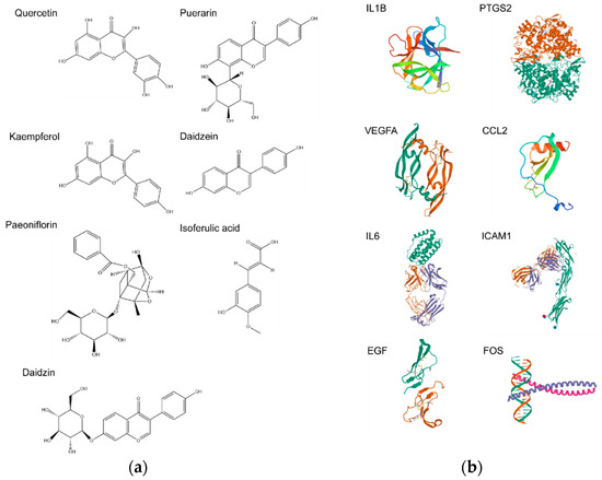 Network Pharmacology and Molecular Docking Analysis Reveal Insights ...