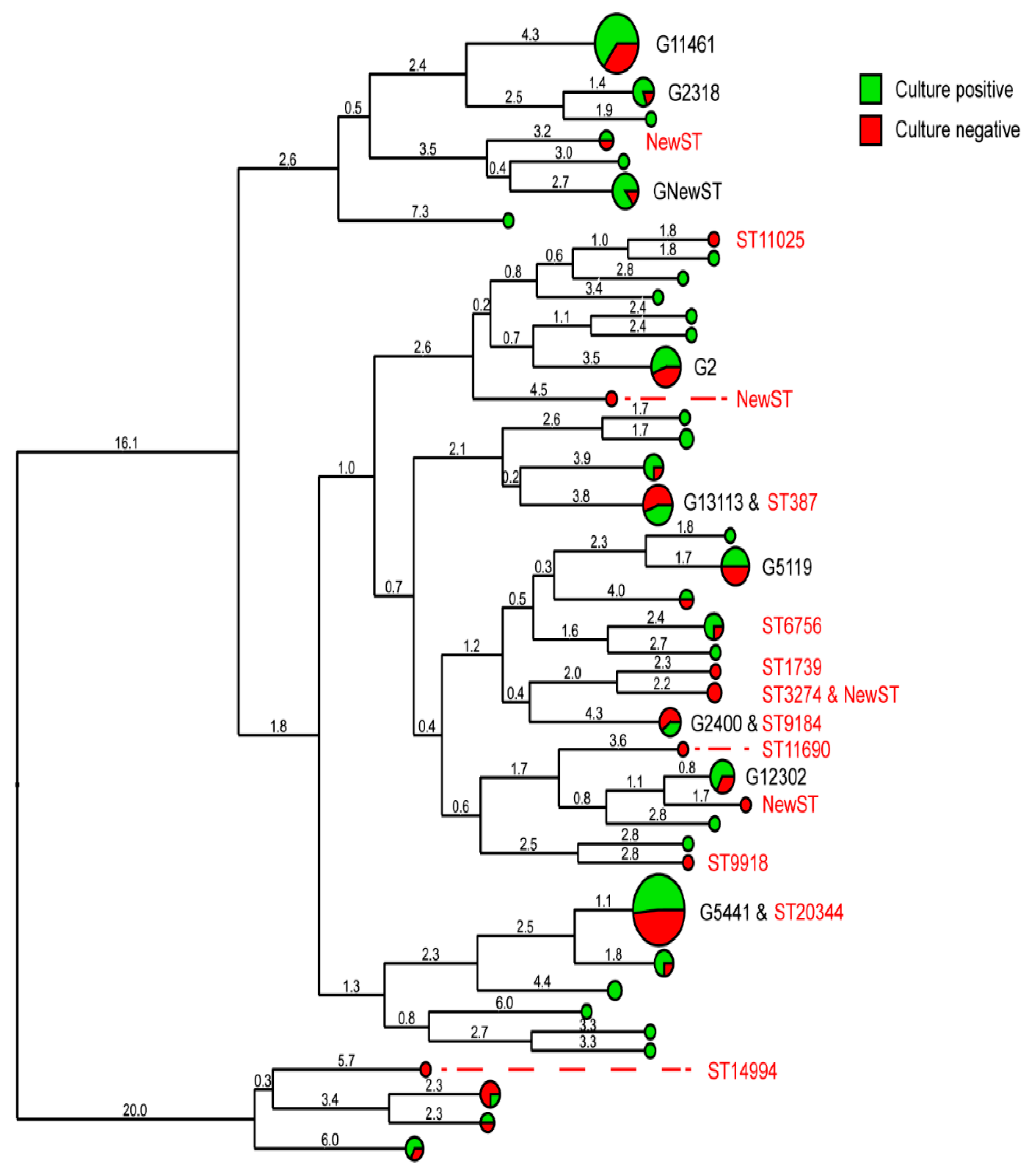 Pathogens 11 01344 g002 Pathogens 11 01344 g002