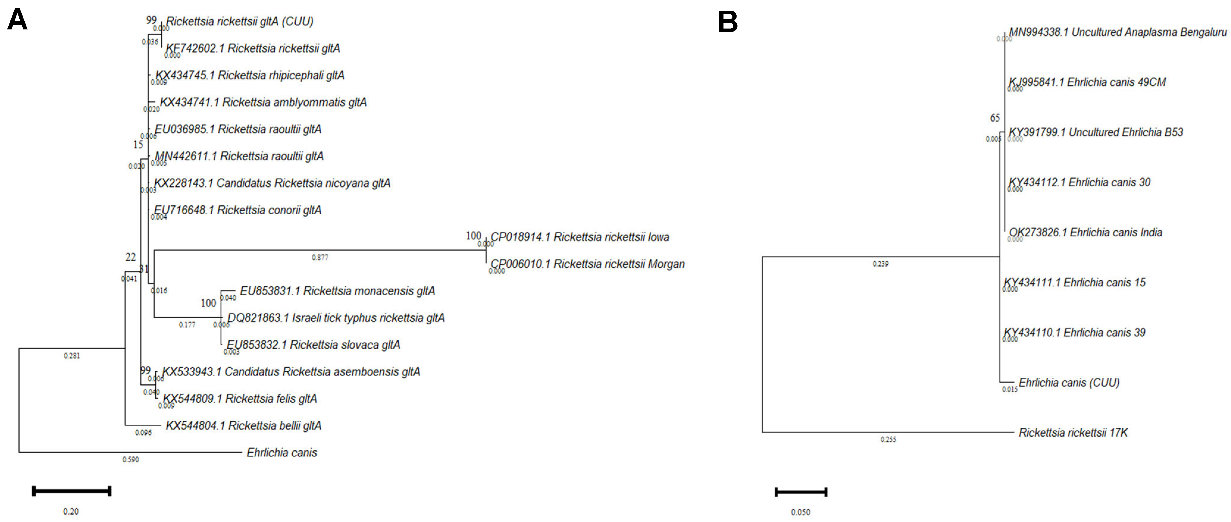 Pathogens 11 01351 g002