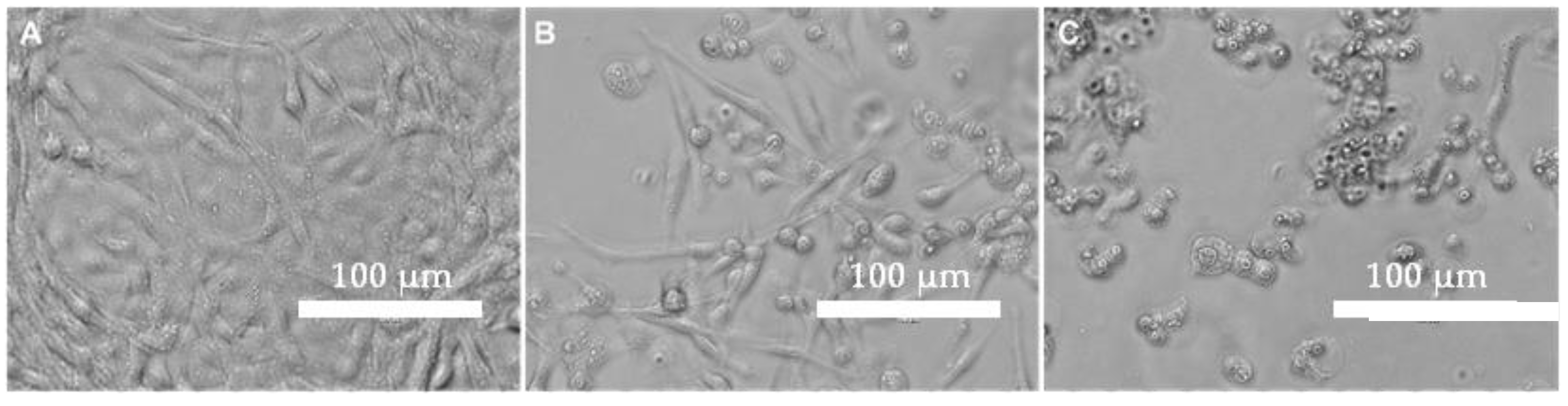 Pathogens 11 01368 g005