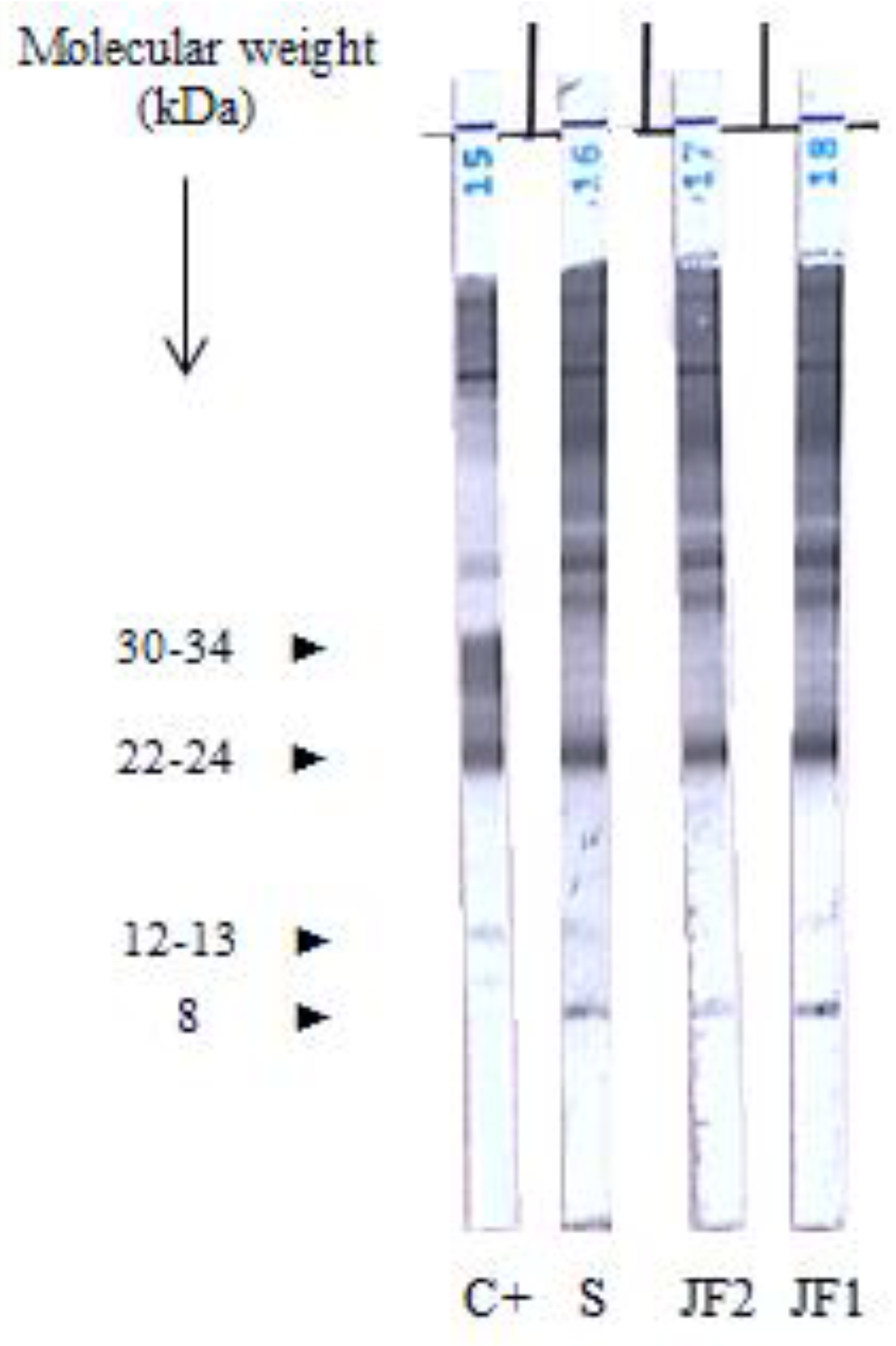 Pathogens 11 01369 g002