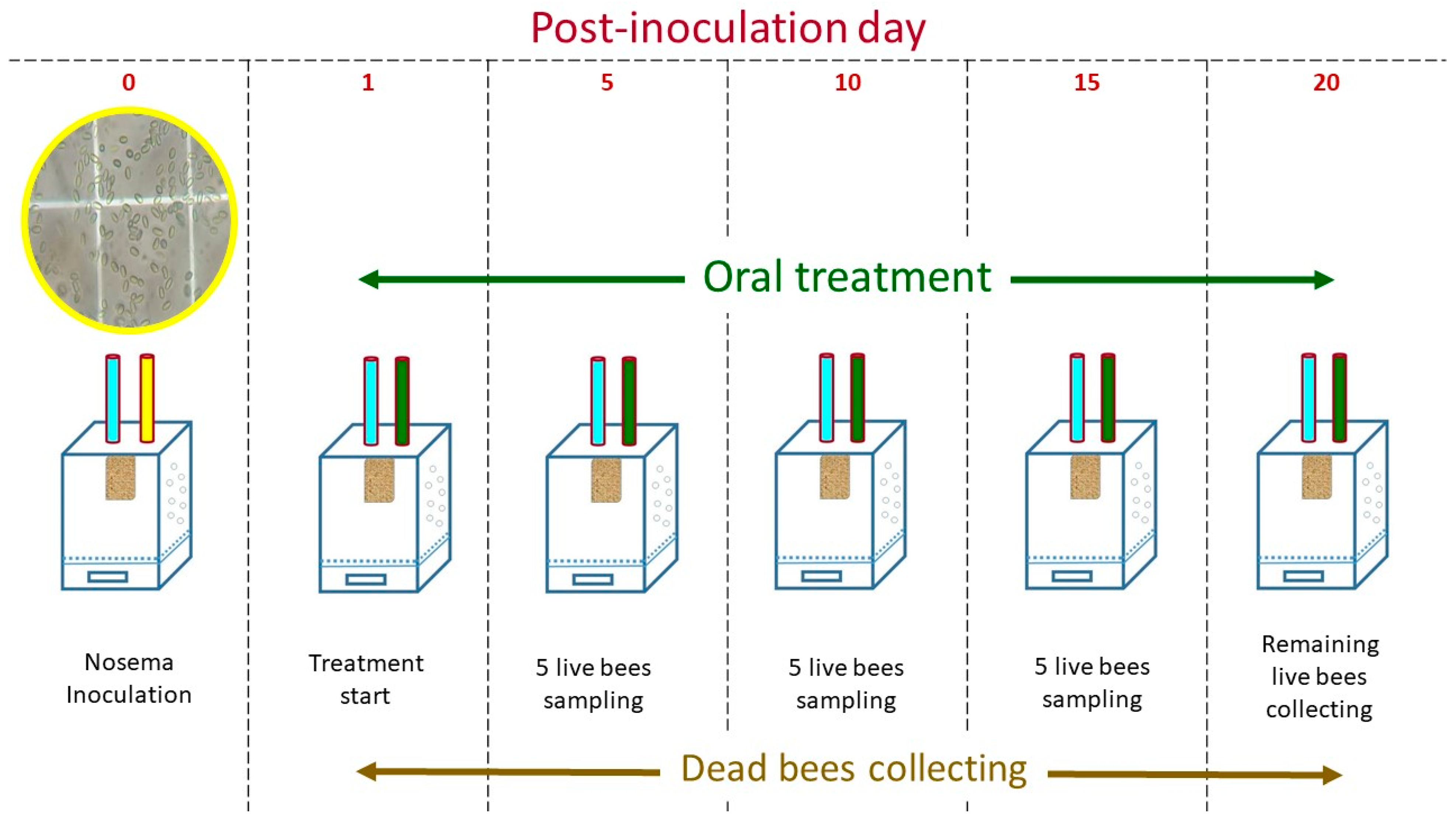 Pathogens 11 01375 g008