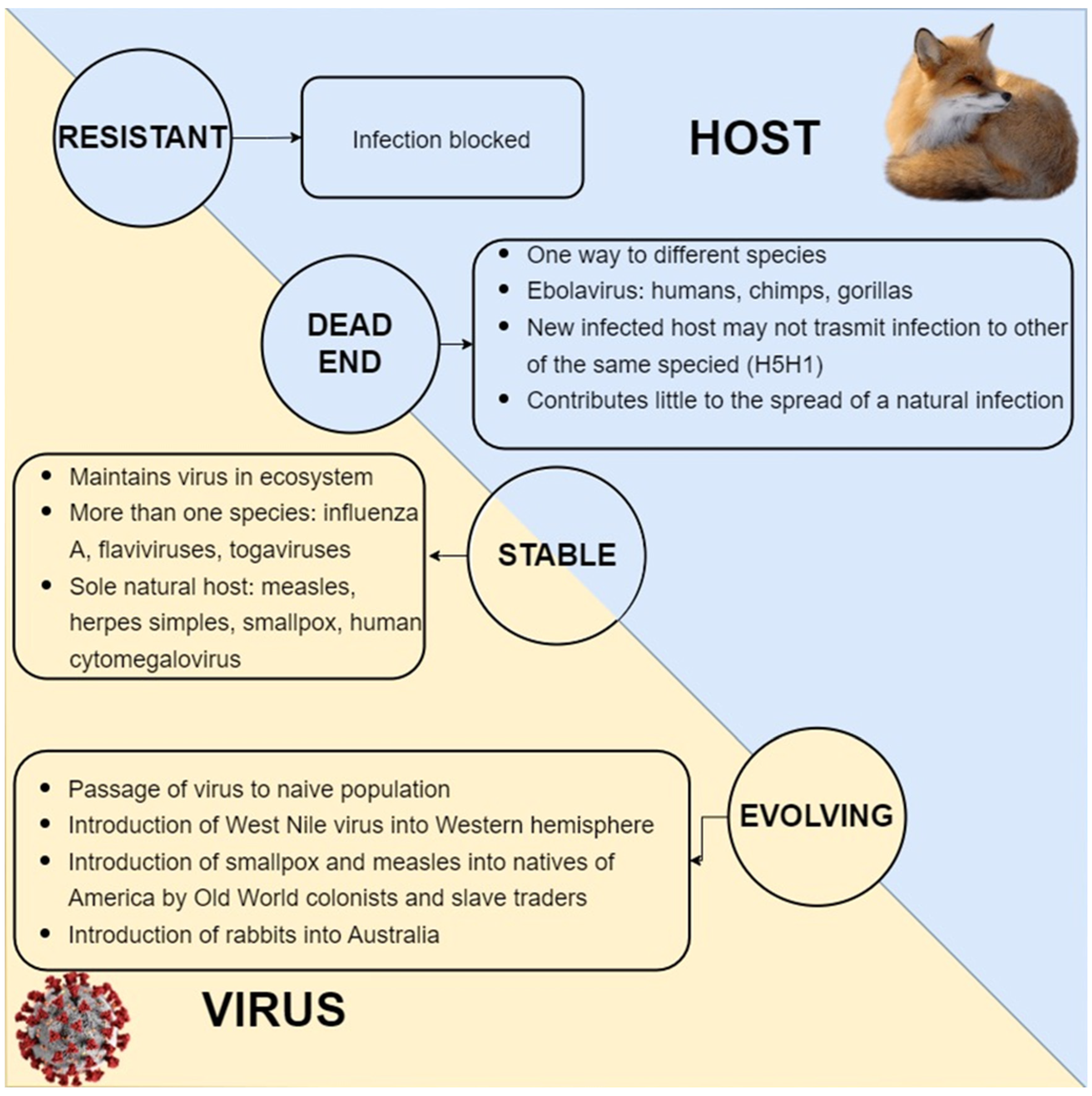 Pathogens 11 01376 g002
