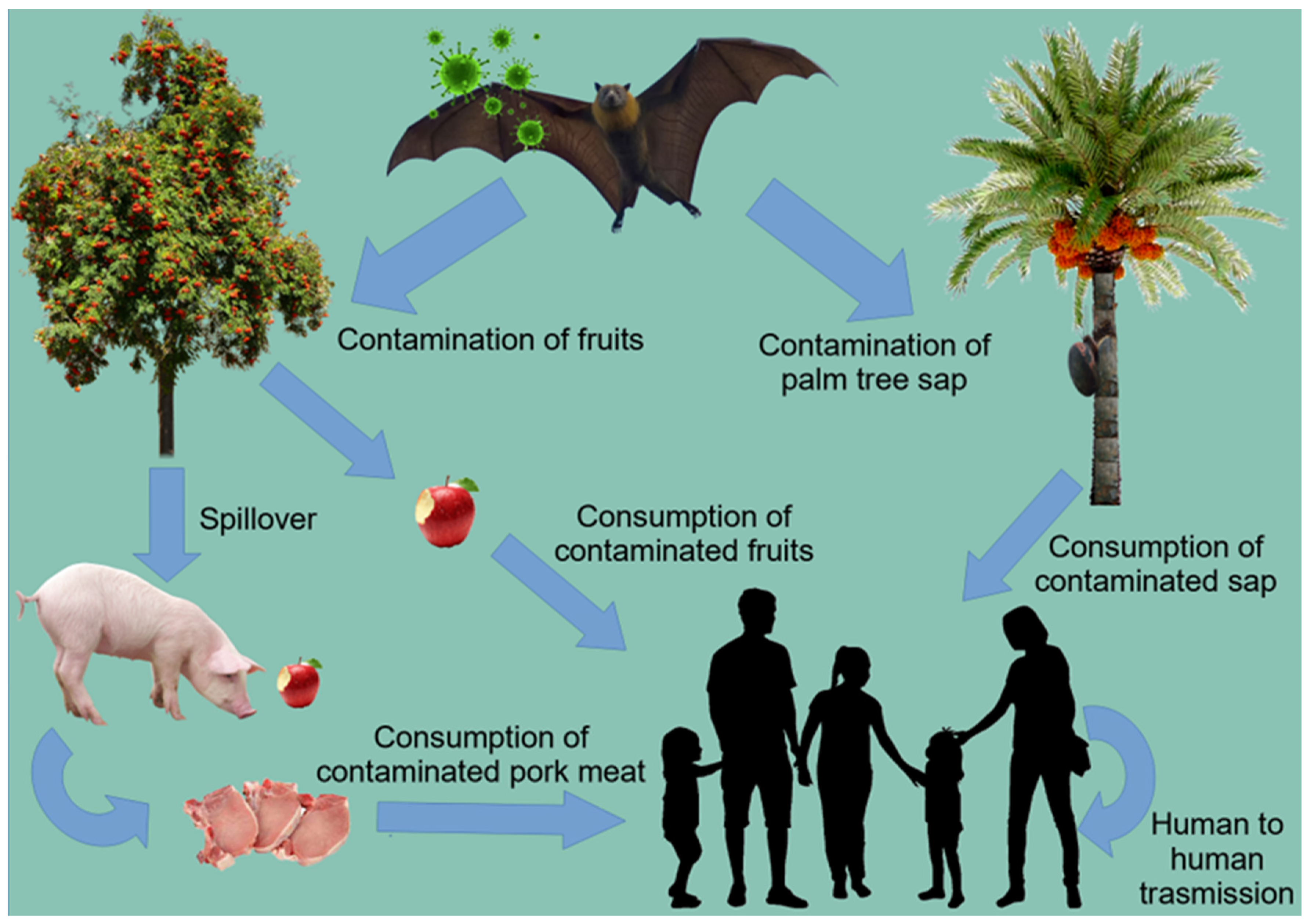 Pathogens 11 01376 g003