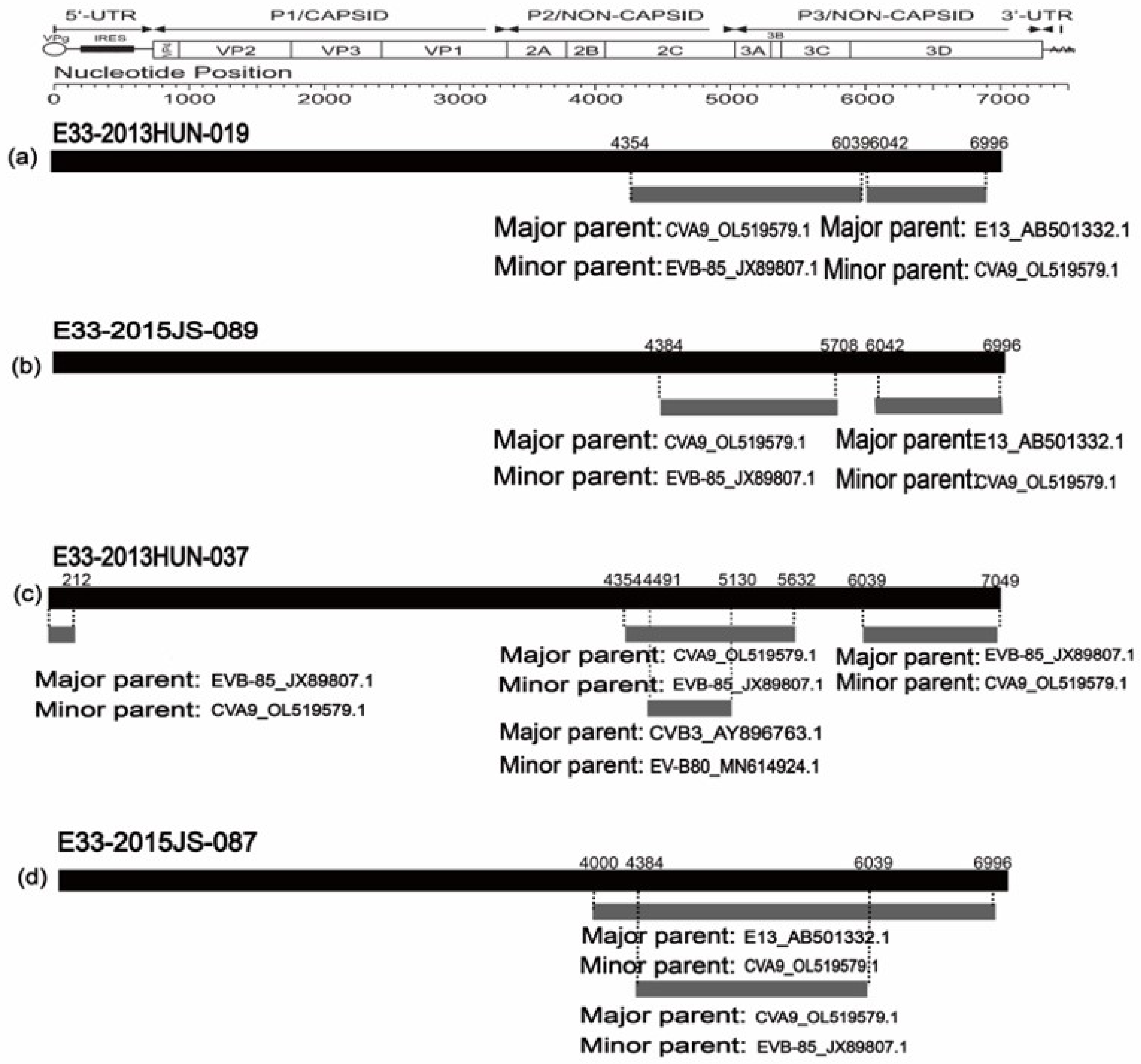 Pathogens 11 01379 g004