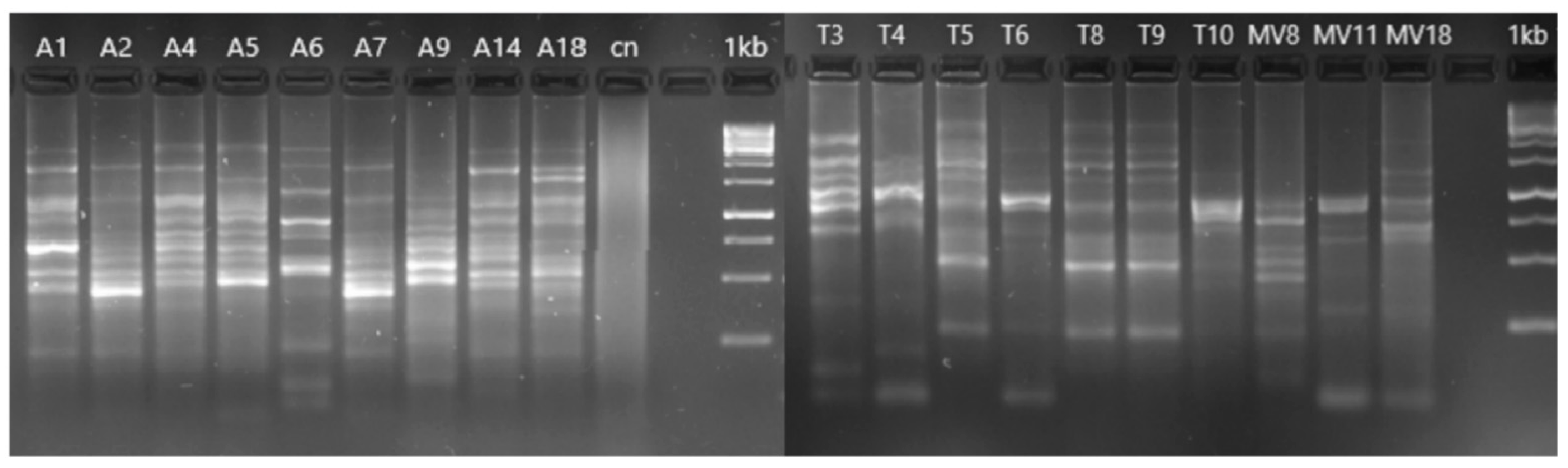 Pathogens 11 01382 g002