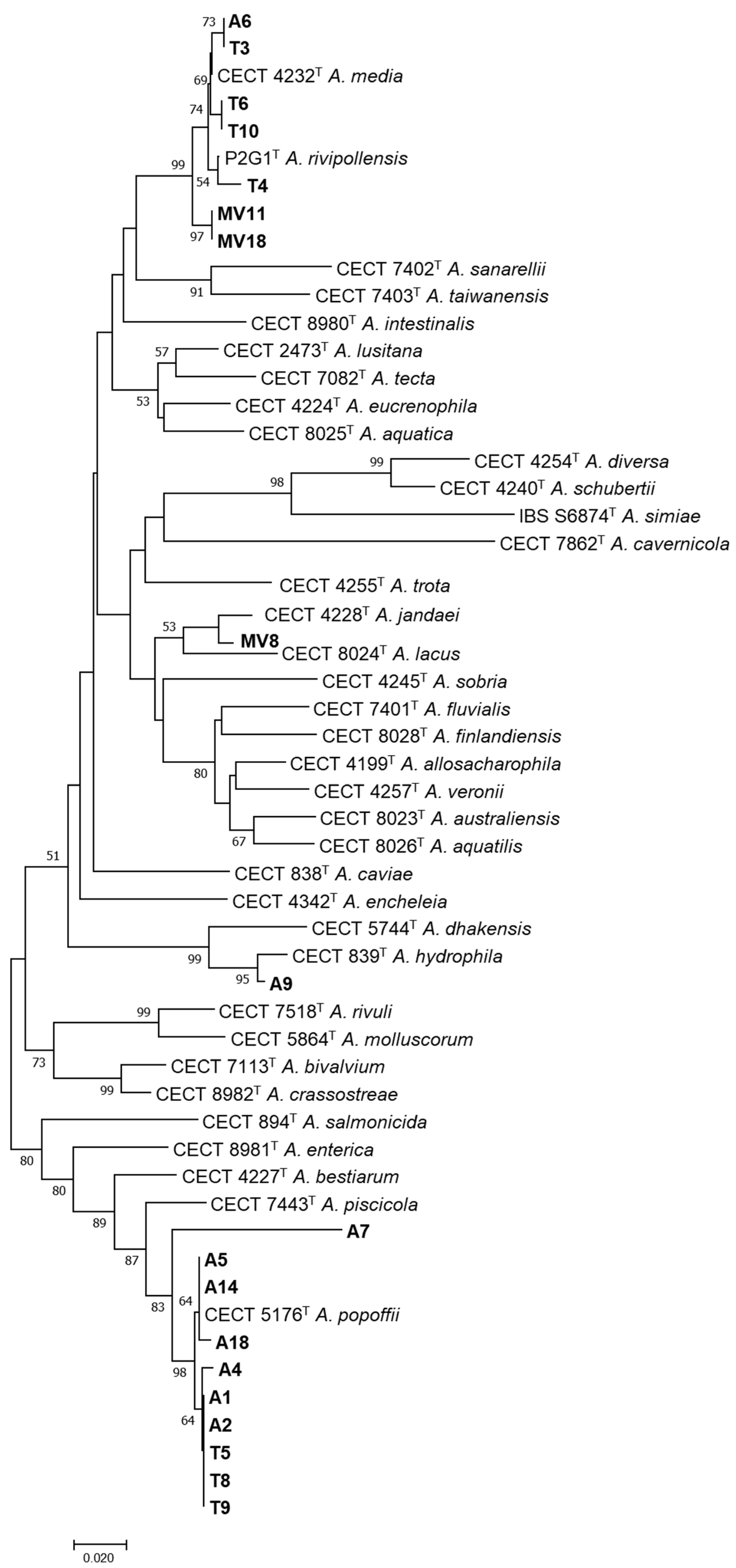 Pathogens 11 01382 g003