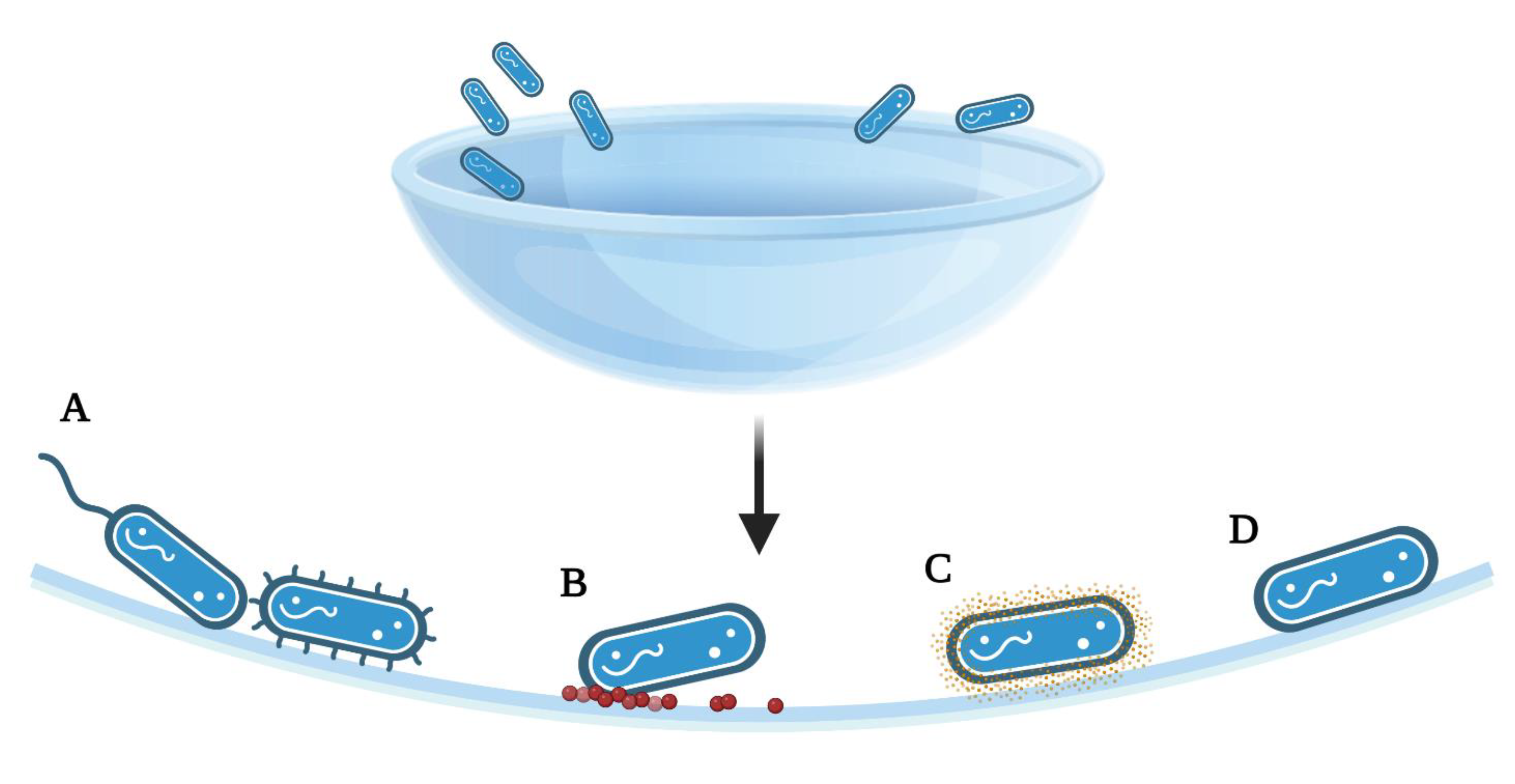Pathogens 11 01383 g002