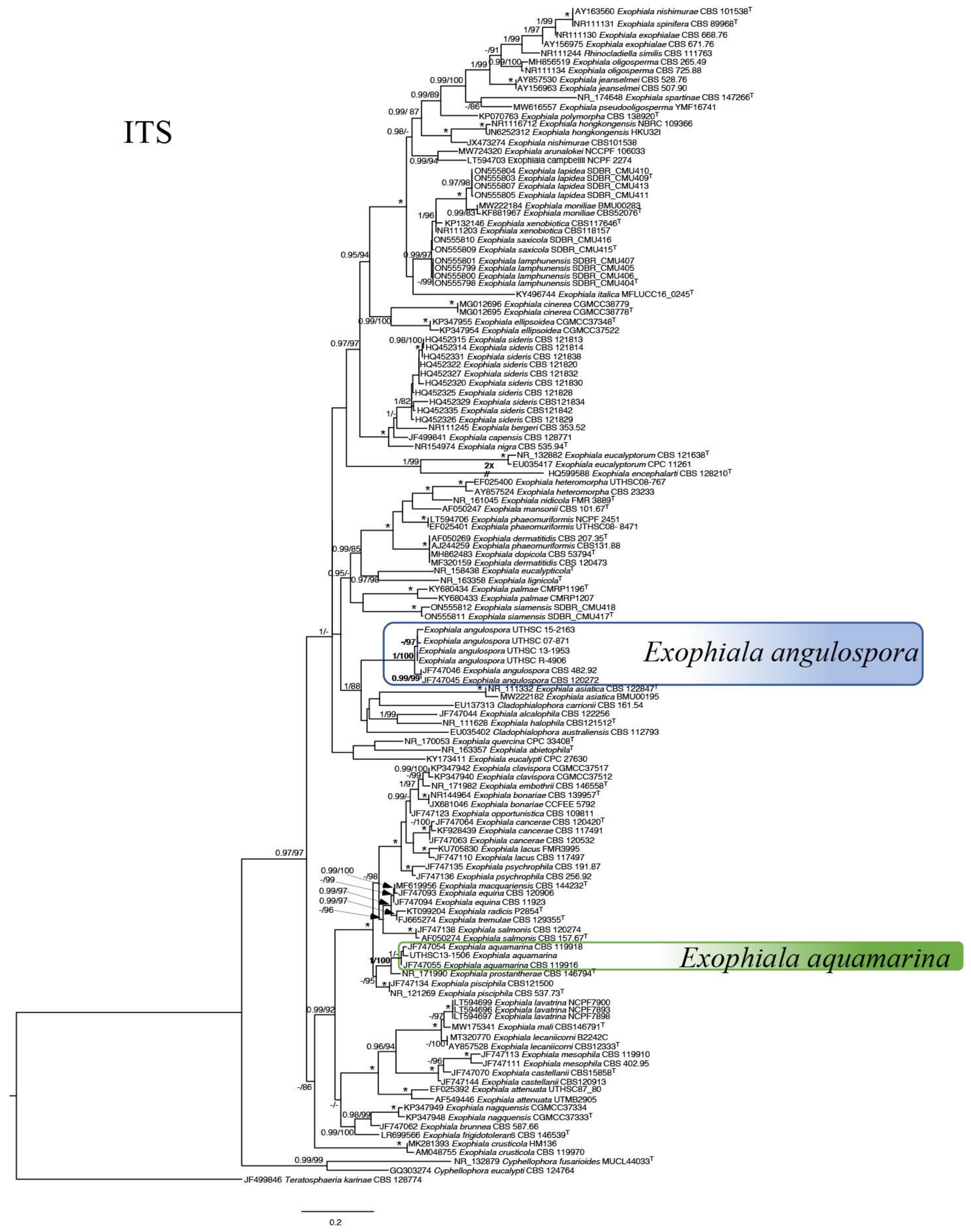 Pathogens 11 01401 g0a1 Pathogens 11 01401 g0a1