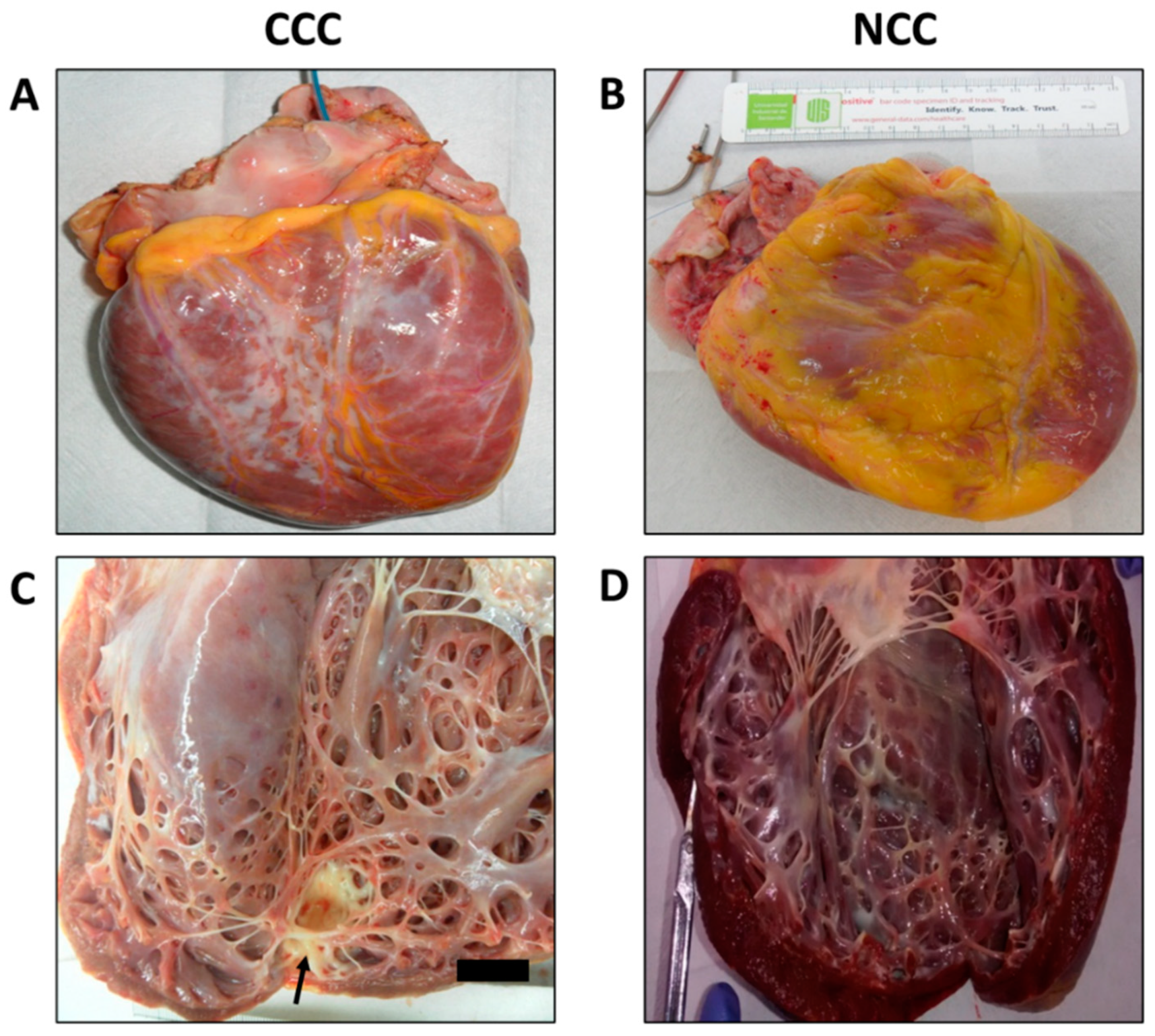 Pathogens 11 01402 g001