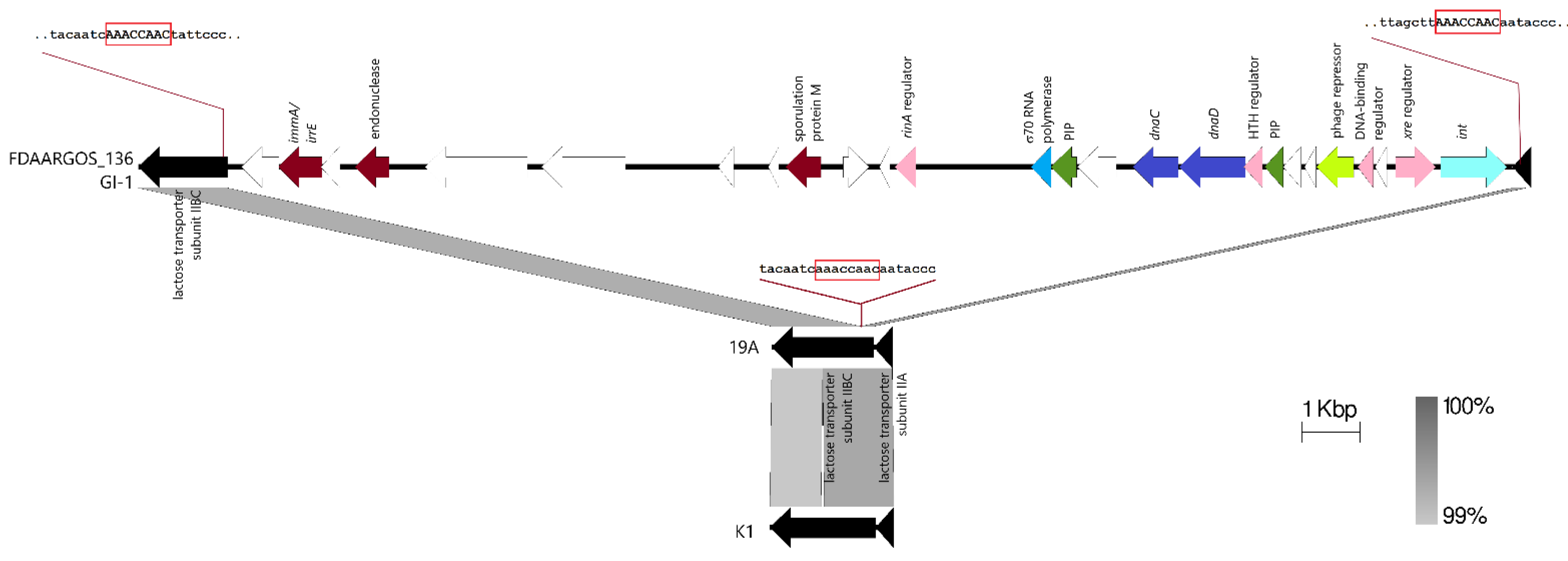 Pathogens 11 01406 g003