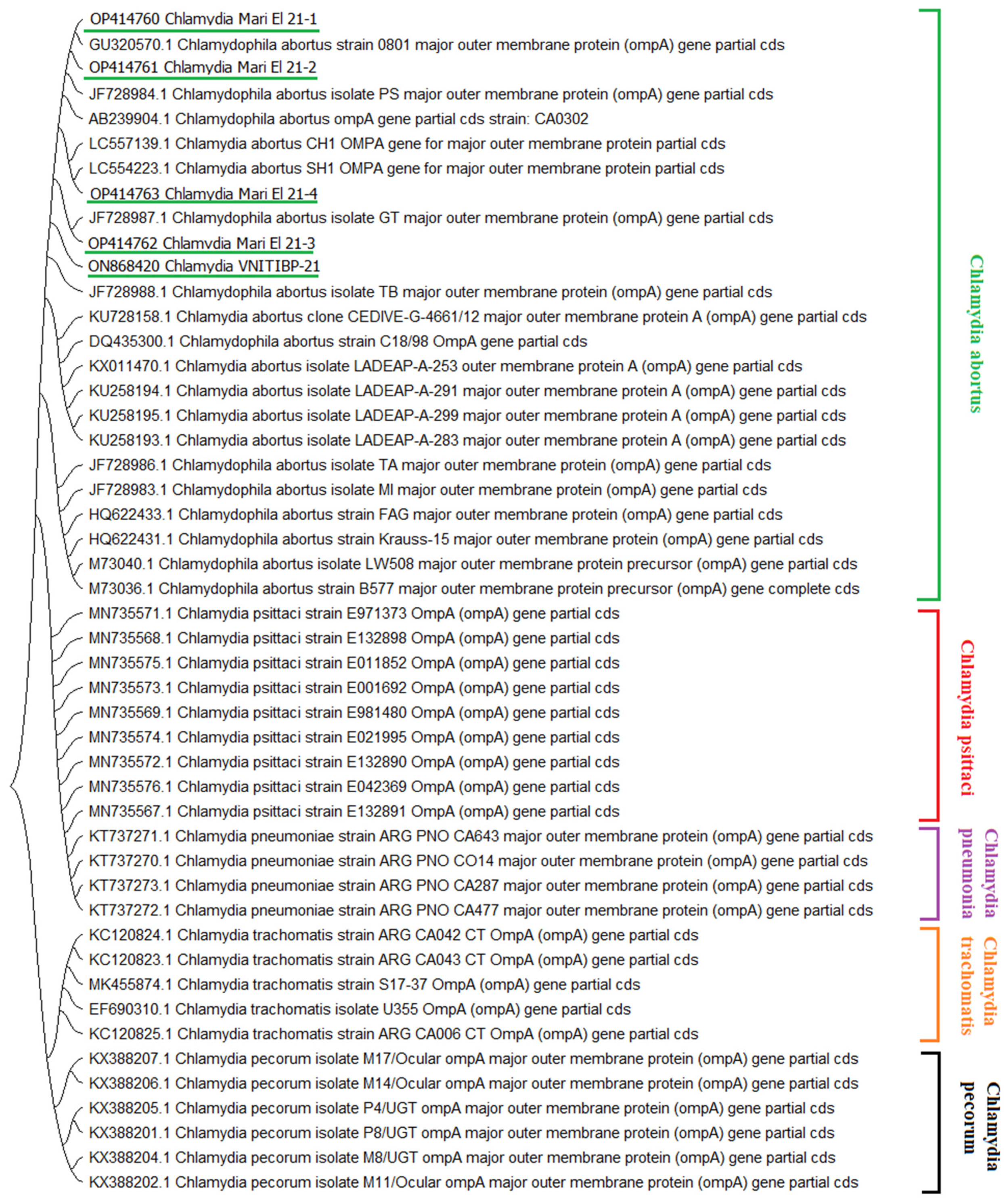 Pathogens 11 01408 g001