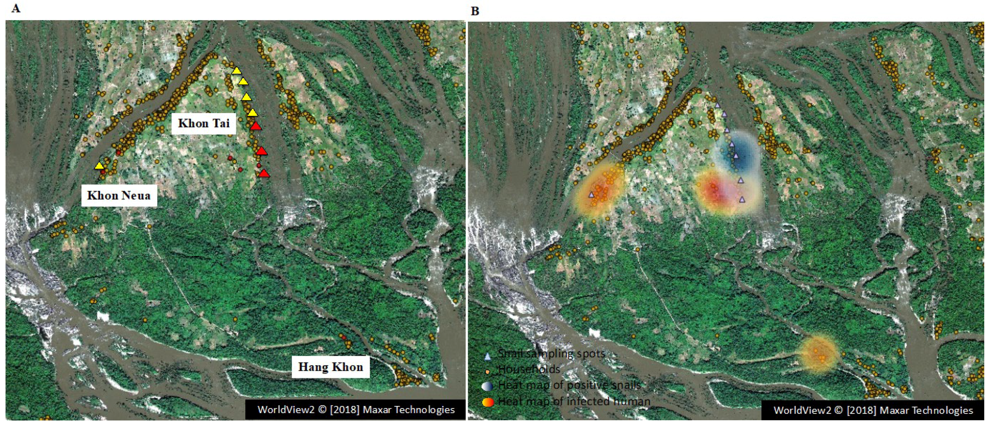 Pathogens 11 01413 g003 Pathogens 11 01413 g003