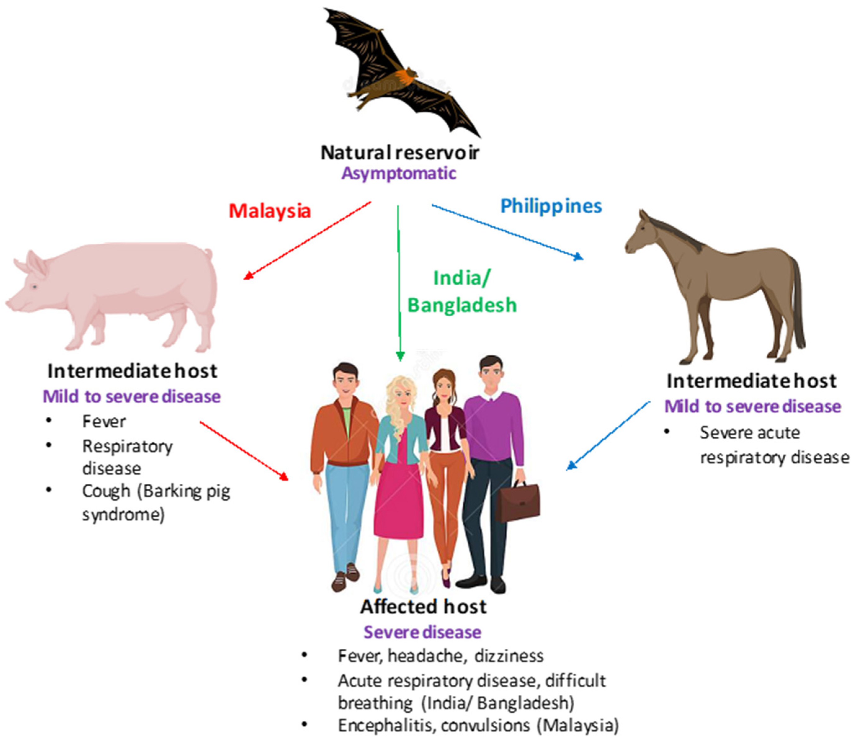 Pathogens | Free Full-Text | Nipah and Hendra Viruses: Deadly Zoonotic  Paramyxoviruses with the Potential to Cause the Next Pandemic