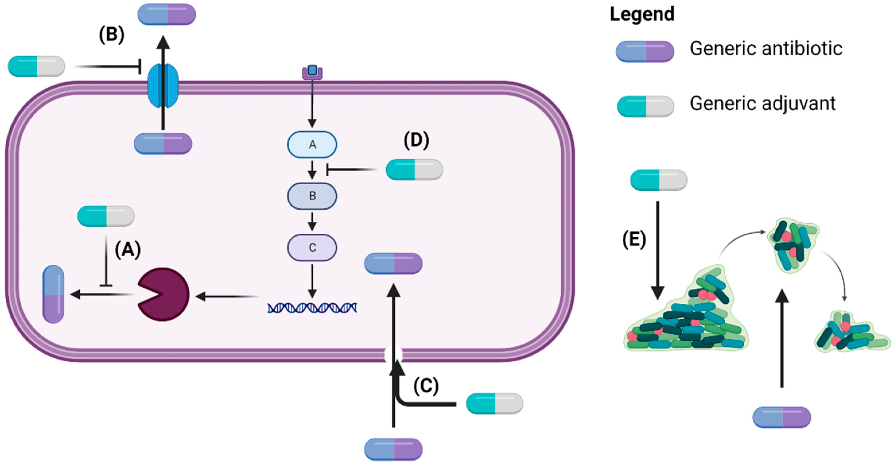 Pathogens 11 01420 g001 Pathogens 11 01420 g001