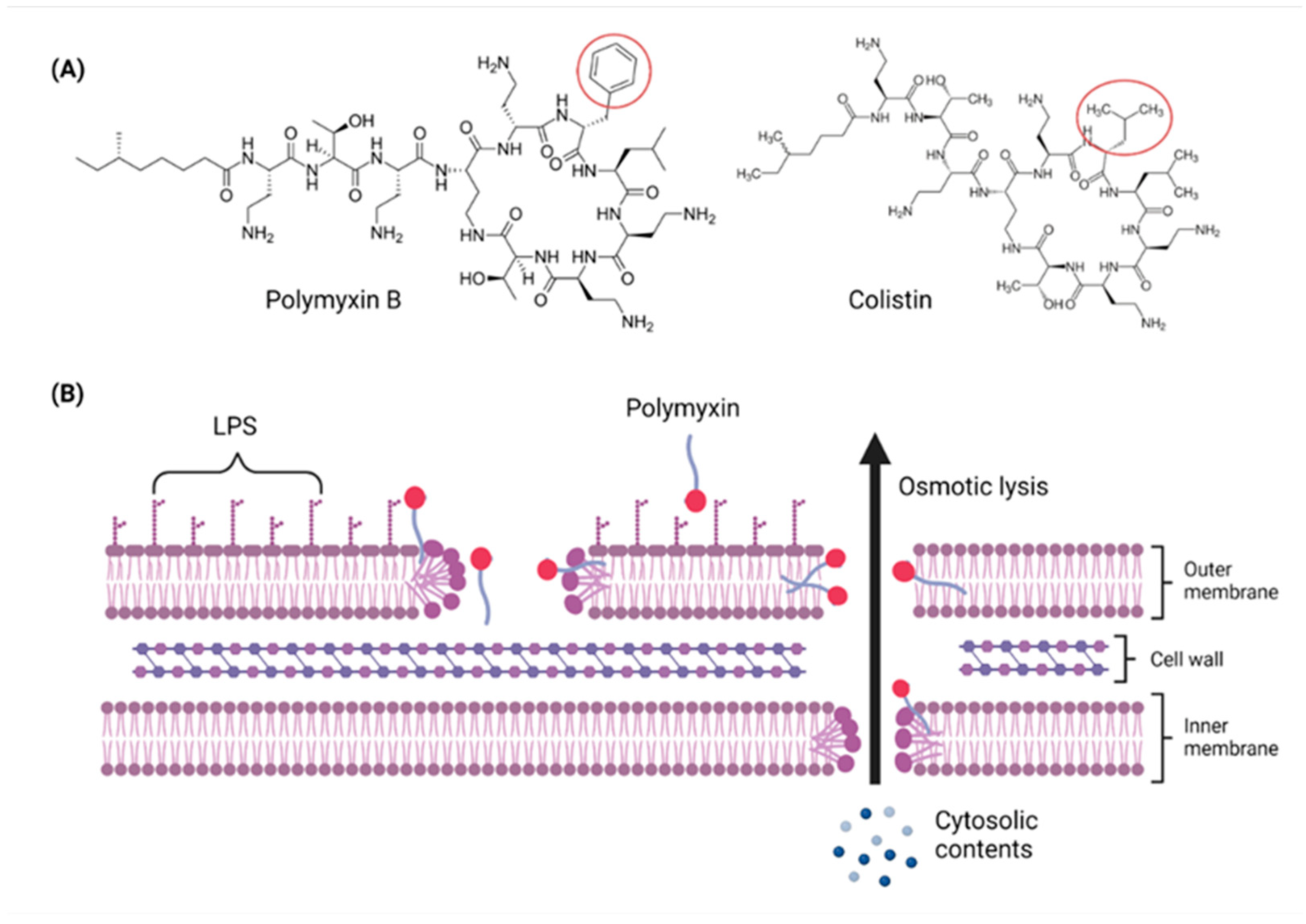 Pathogens 11 01420 g002 Pathogens 11 01420 g002