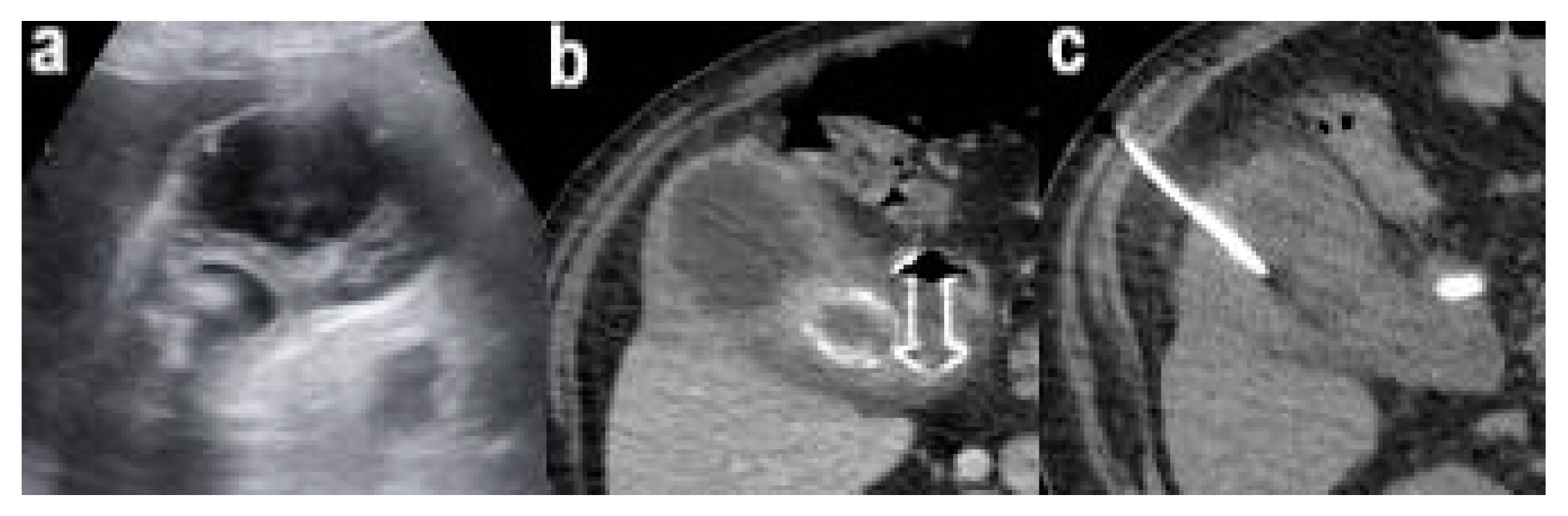 Pathogens 11 01423 g002 Pathogens 11 01423 g002