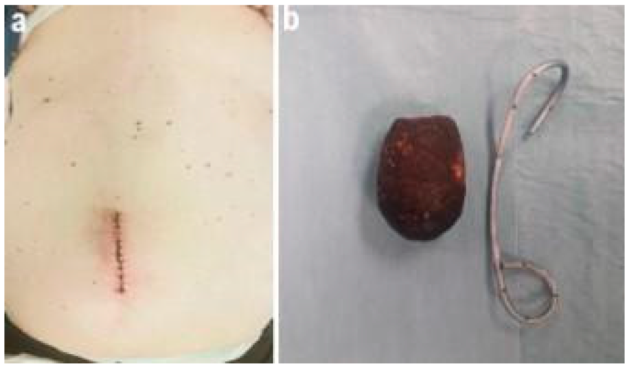Pathogens 11 01423 g005 Pathogens 11 01423 g005