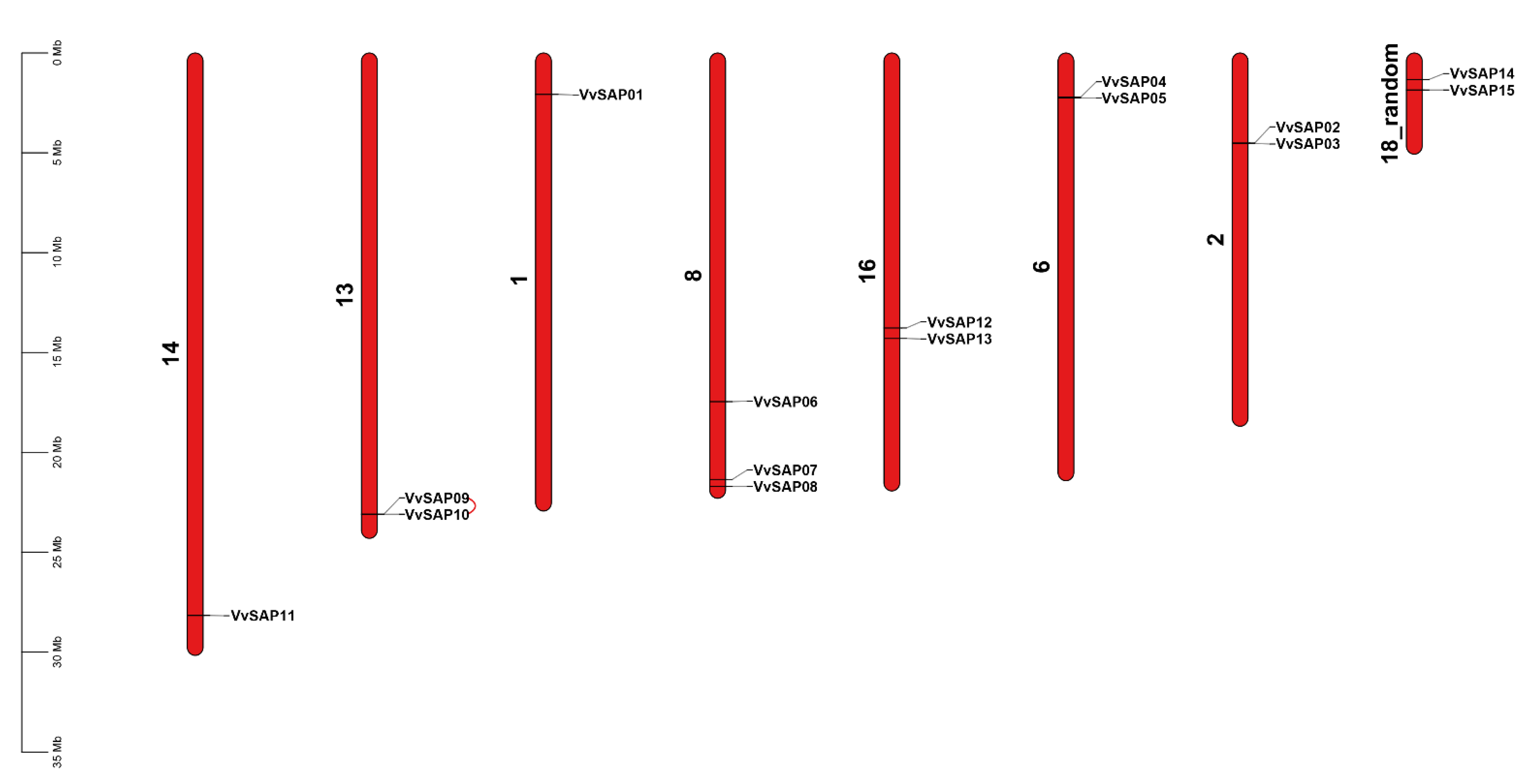 Pathogens 11 01426 g002
