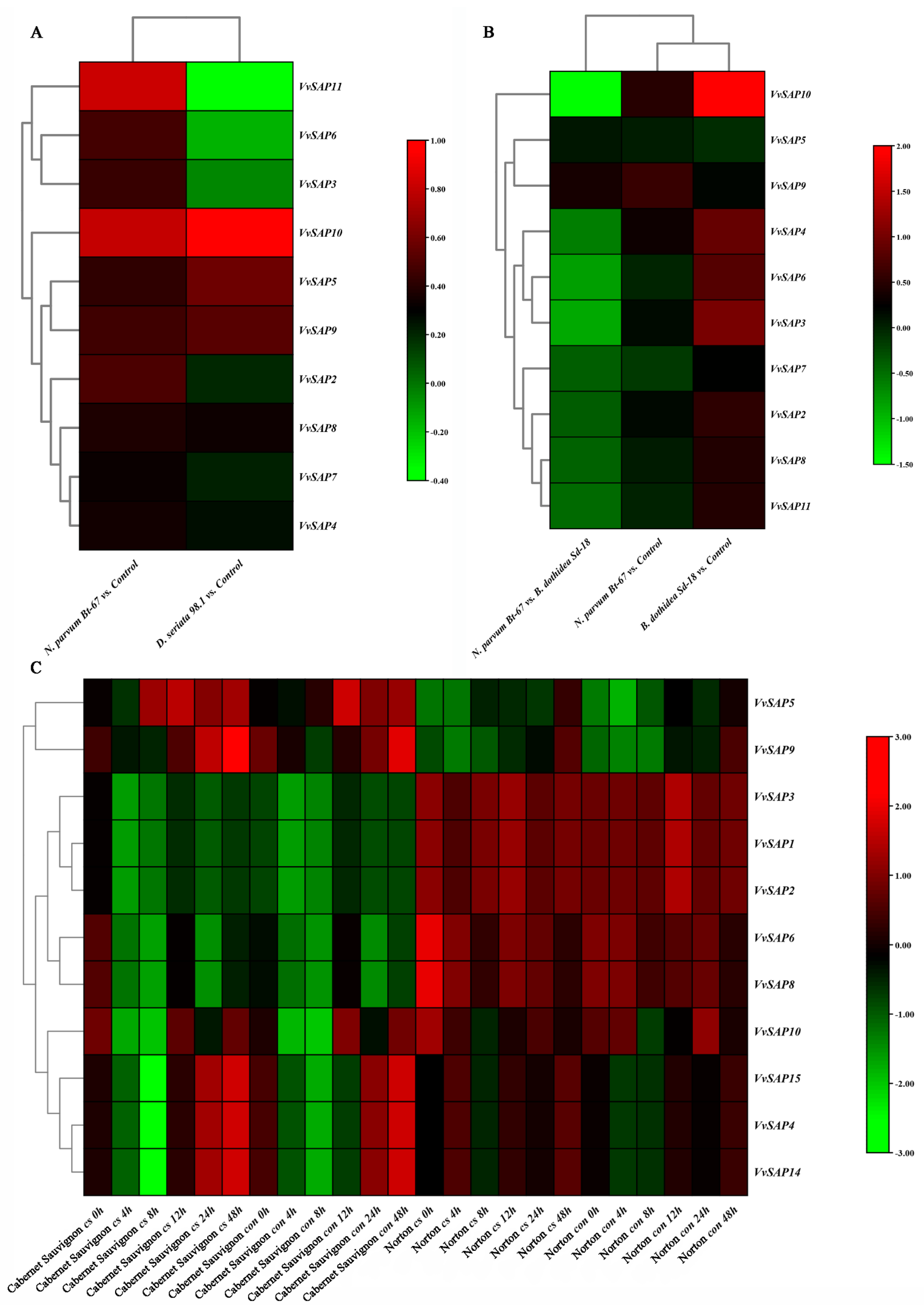 Pathogens 11 01426 g006