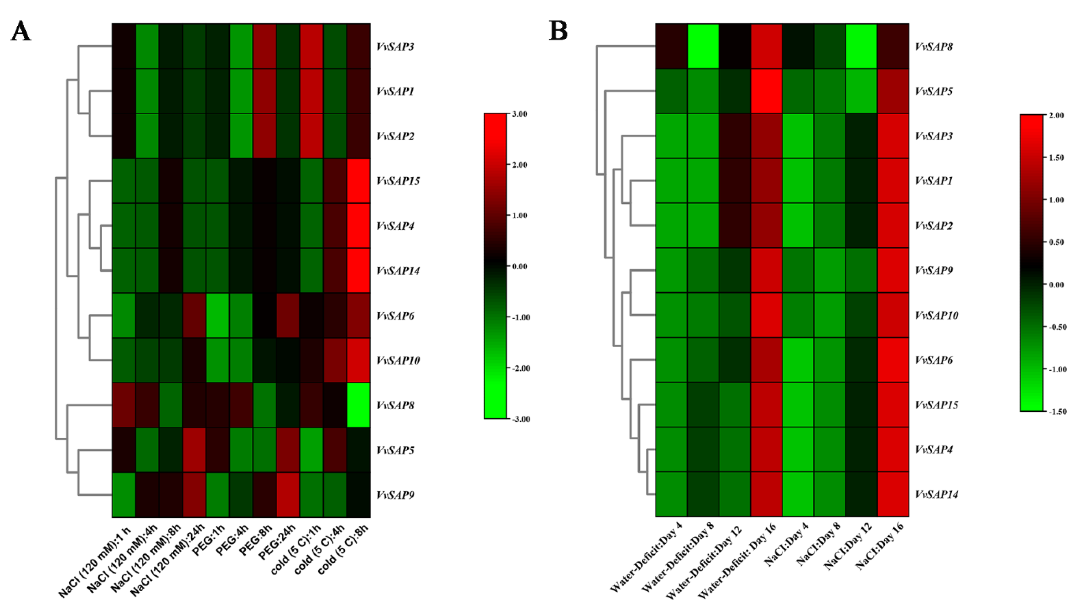 Pathogens 11 01426 g007