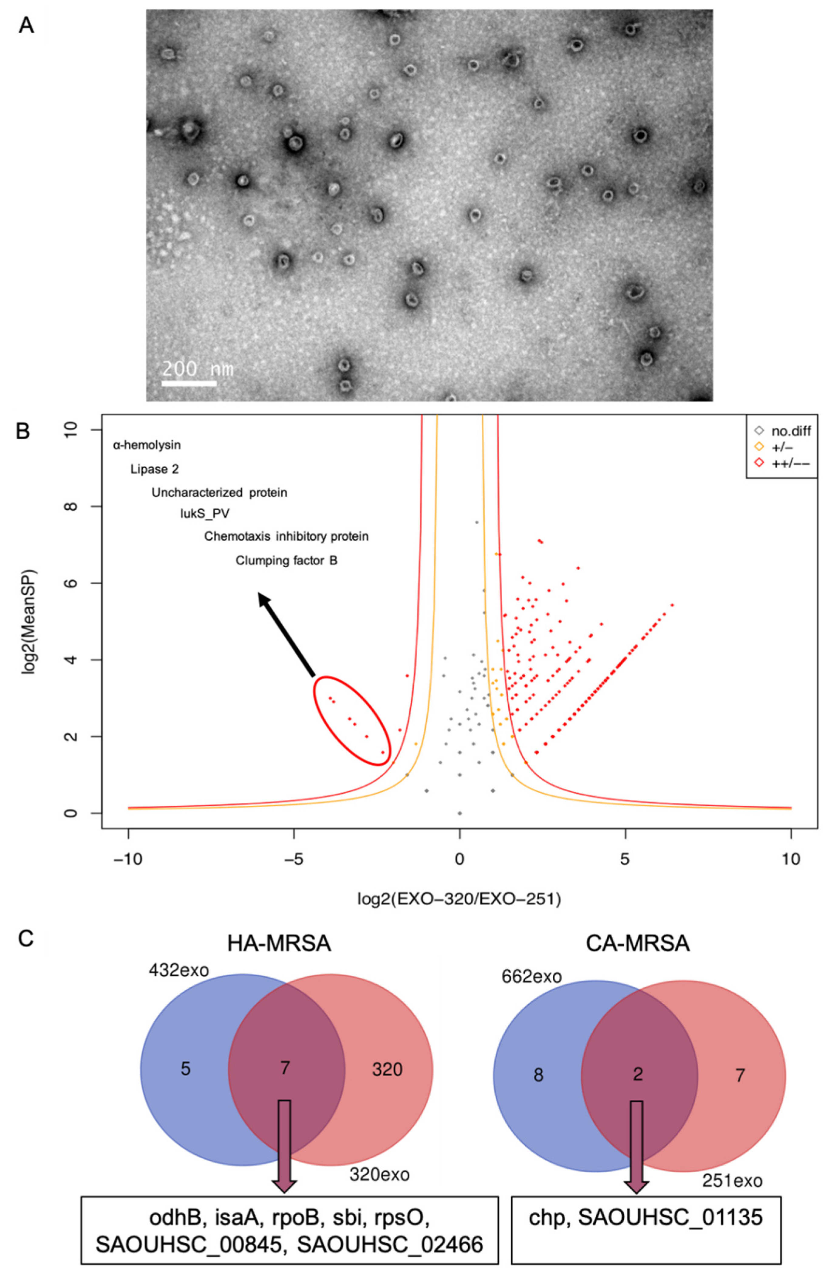 Pathogens 11 01429 g001 Pathogens 11 01429 g001