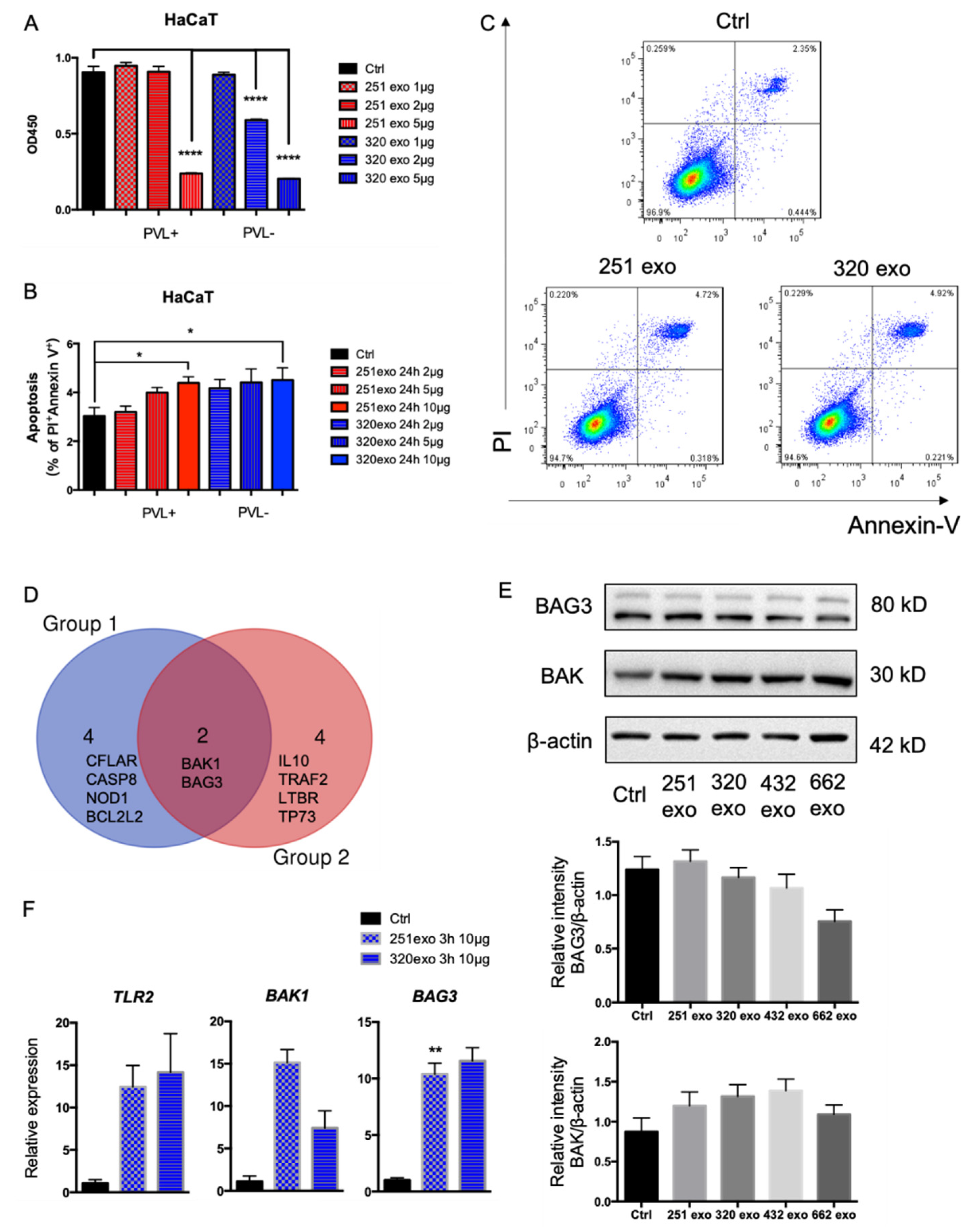 Pathogens 11 01429 g002 Pathogens 11 01429 g002