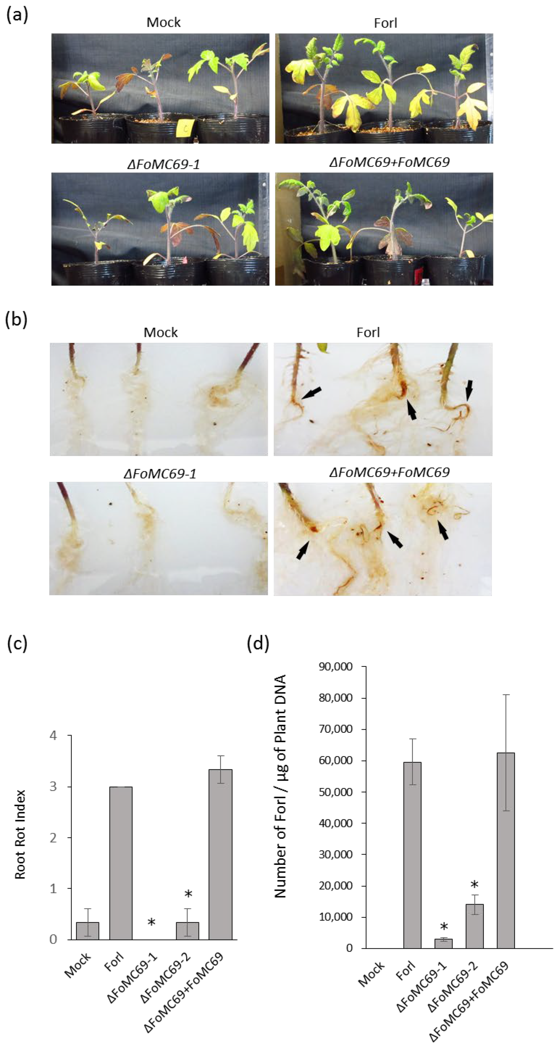 Pathogens 11 01433 g003 Pathogens 11 01433 g003