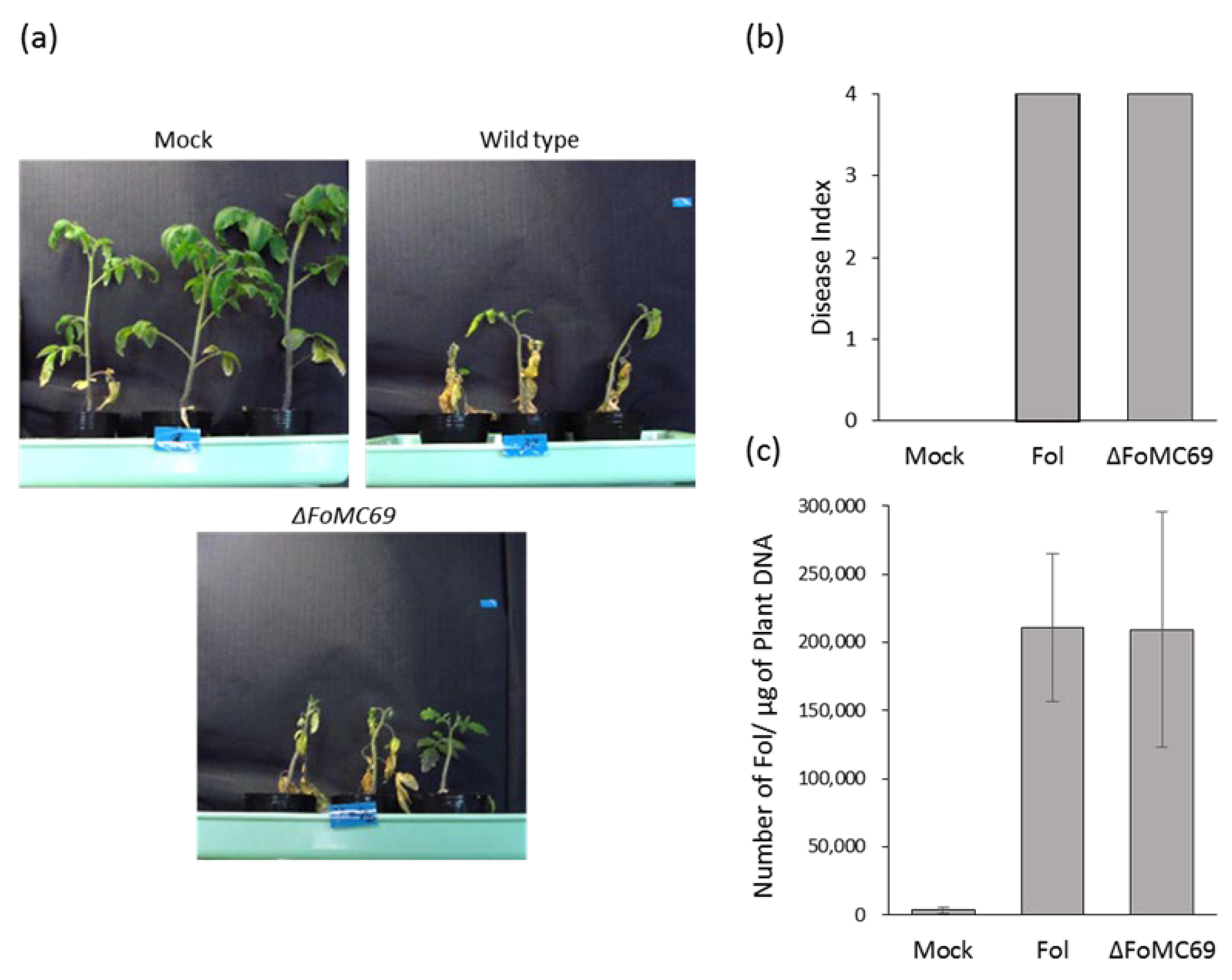 Pathogens 11 01433 g004 Pathogens 11 01433 g004