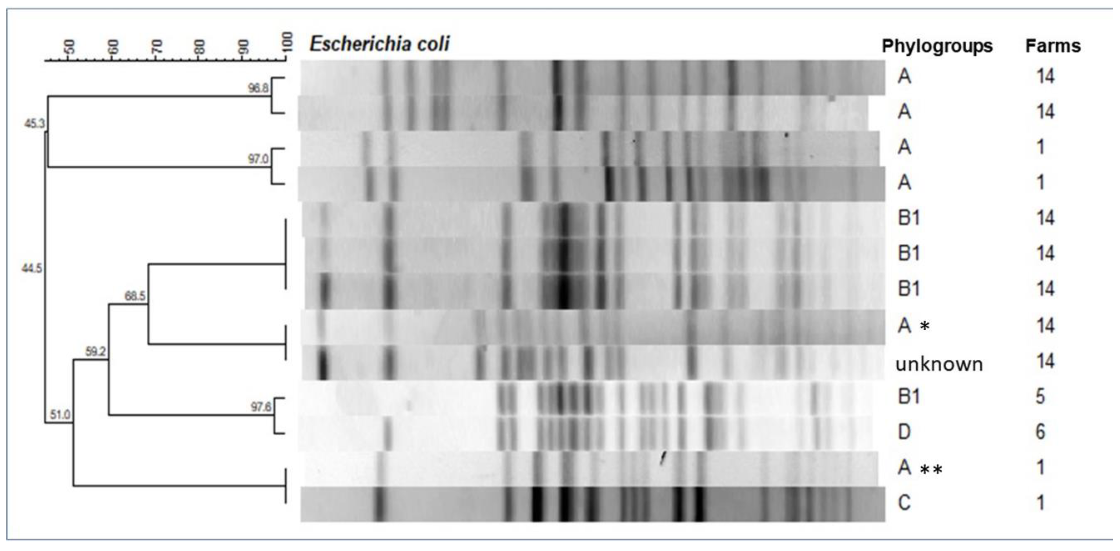 Pathogens 11 01435 g001 Pathogens 11 01435 g001